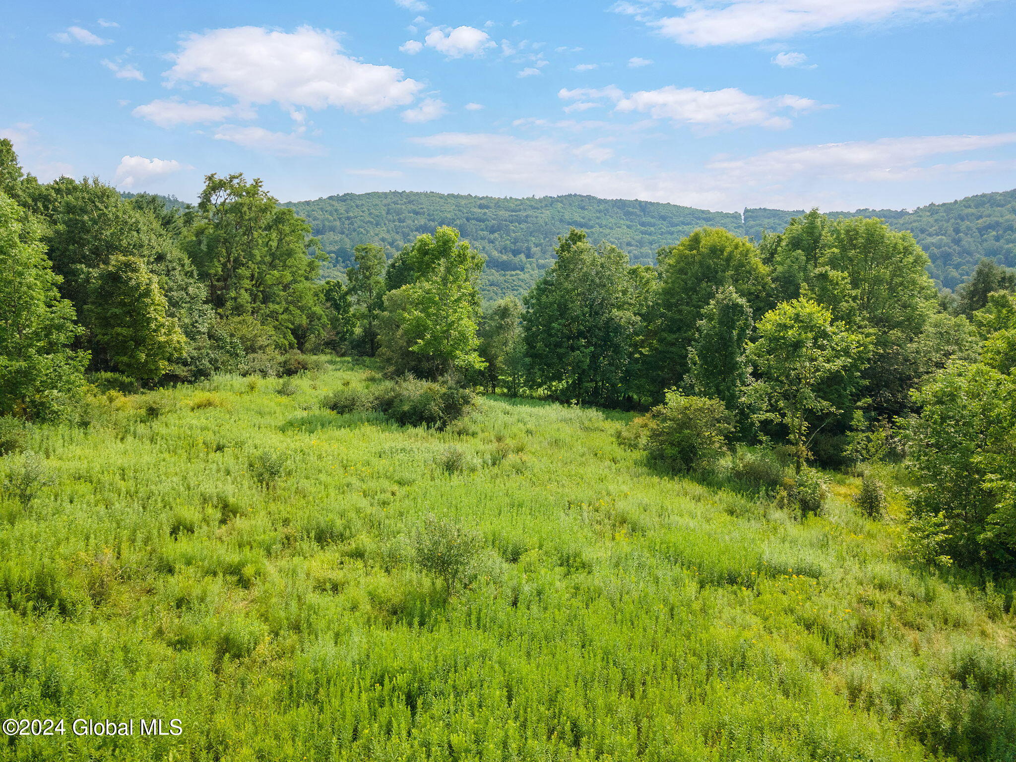 L1 Tedle Brook Road, Davenport, New York image 7