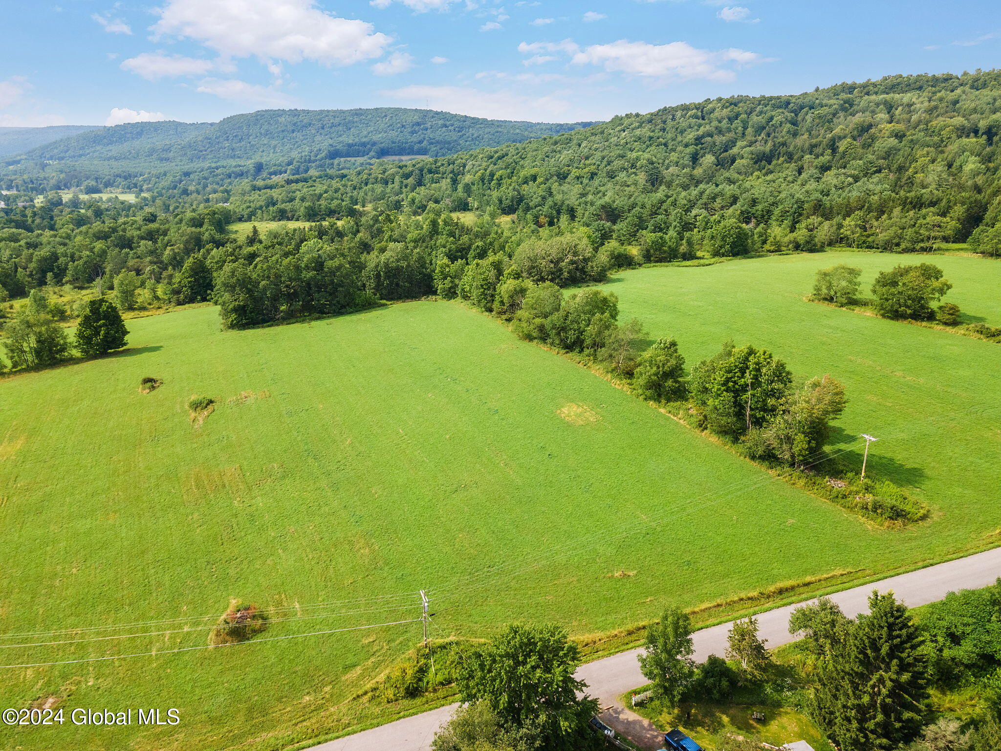 L1 Tedle Brook Road, Davenport, New York image 1