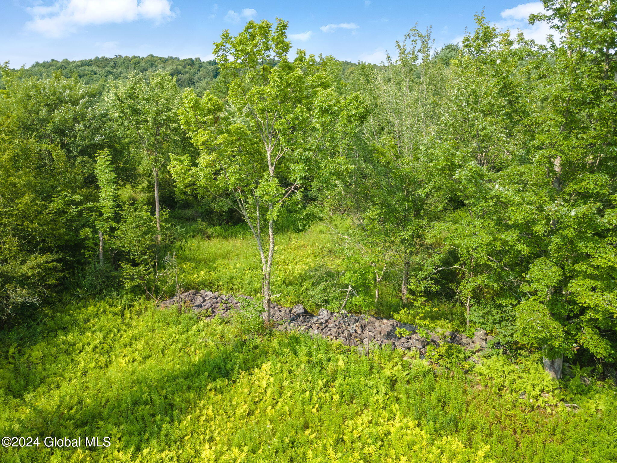 L1 Tedle Brook Road, Davenport, New York image 6