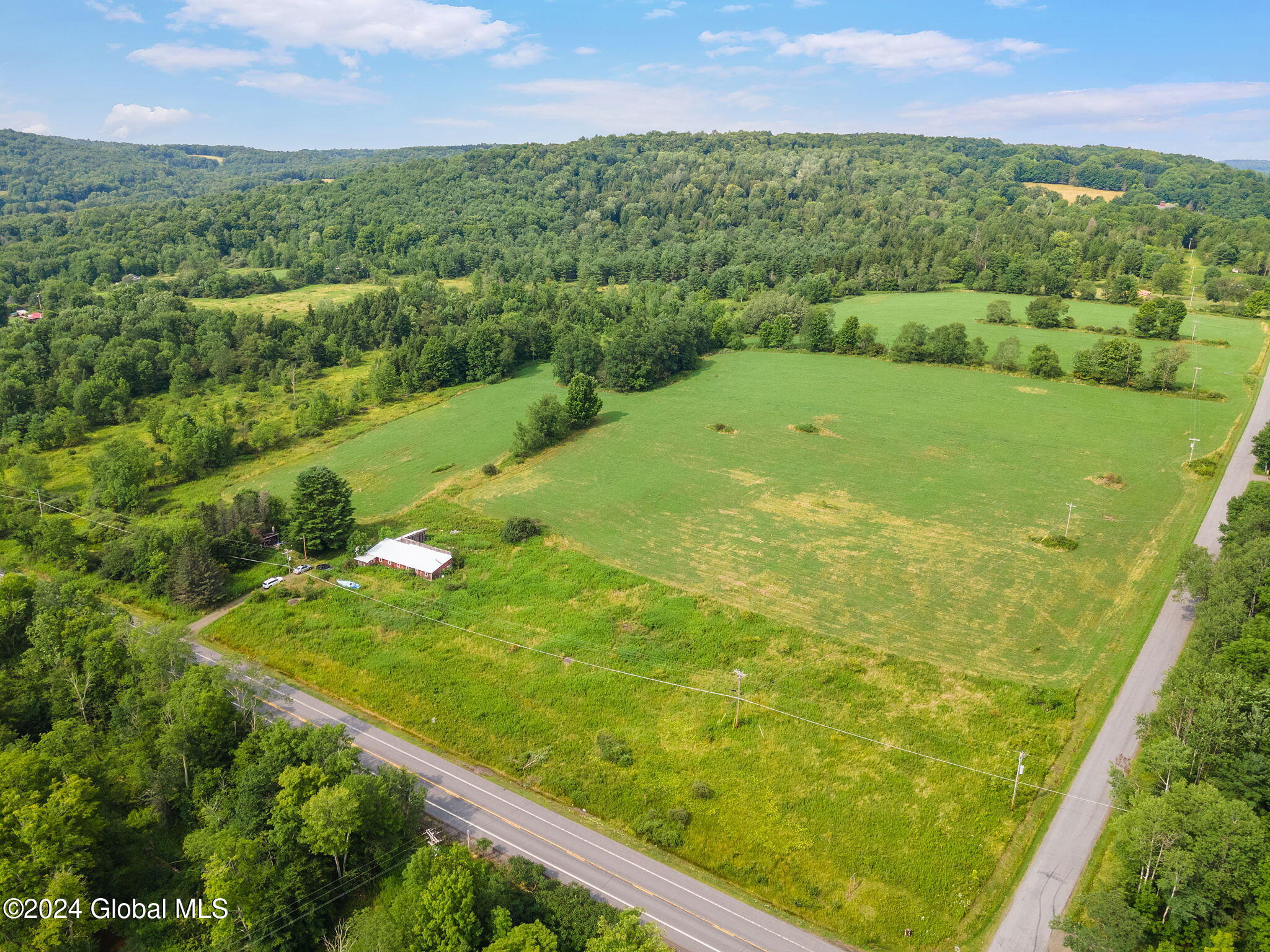 L1 Tedle Brook Road, Davenport, New York image 8