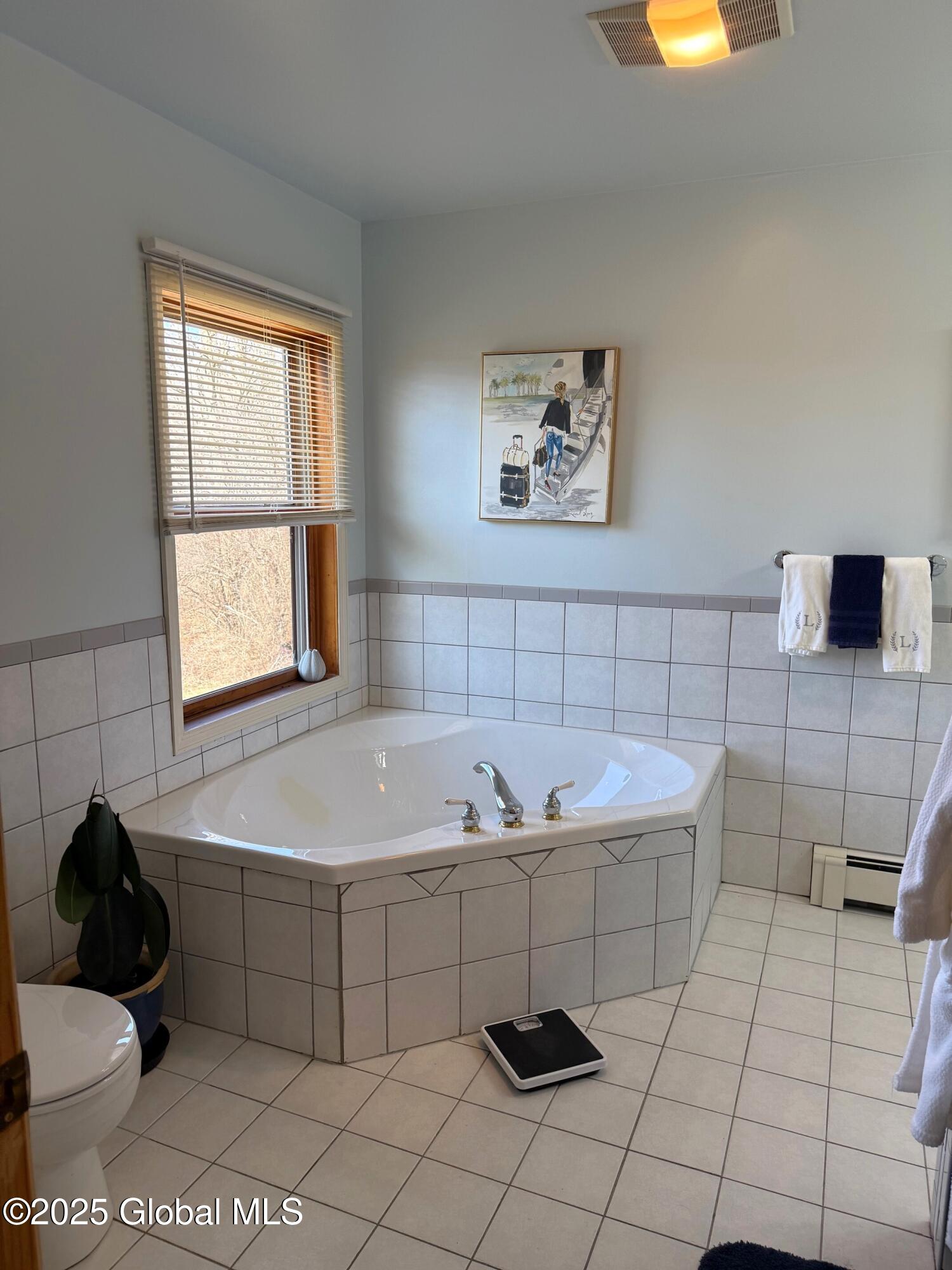 8 Bald Mountain Road, Troy, New York image 43