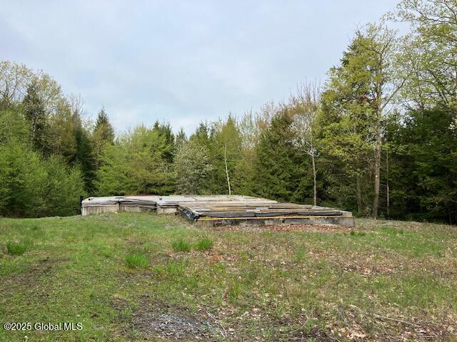 90 Indian Summit Drive, Bolton Landing, New York image 2