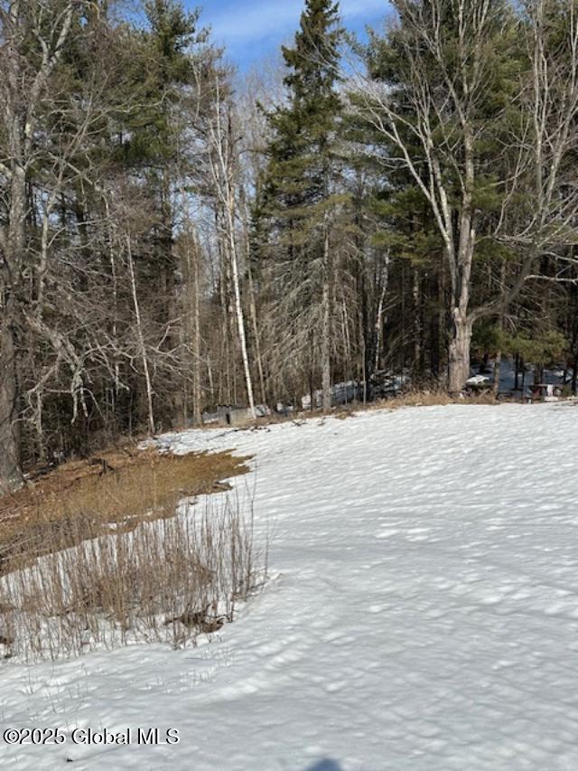263 Mutton Hollow Road, Moriah, New York image 22