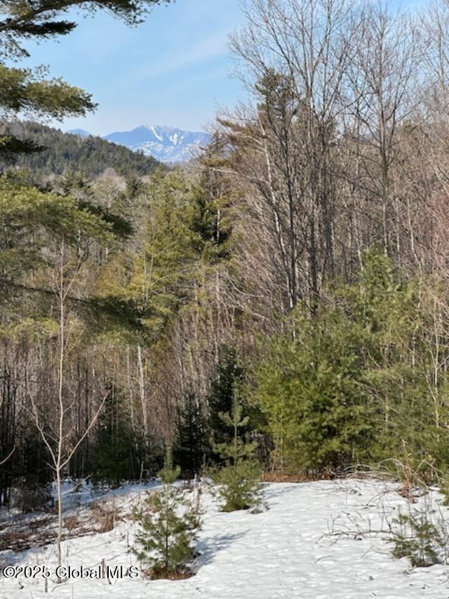263 Mutton Hollow Road, Moriah, New York image 17