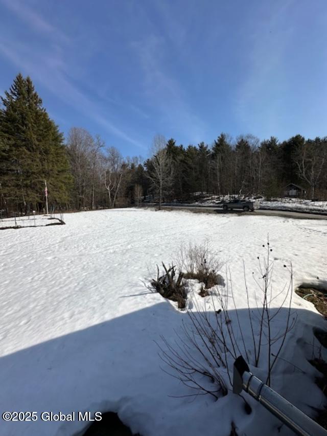 263 Mutton Hollow Road, Moriah, New York image 21