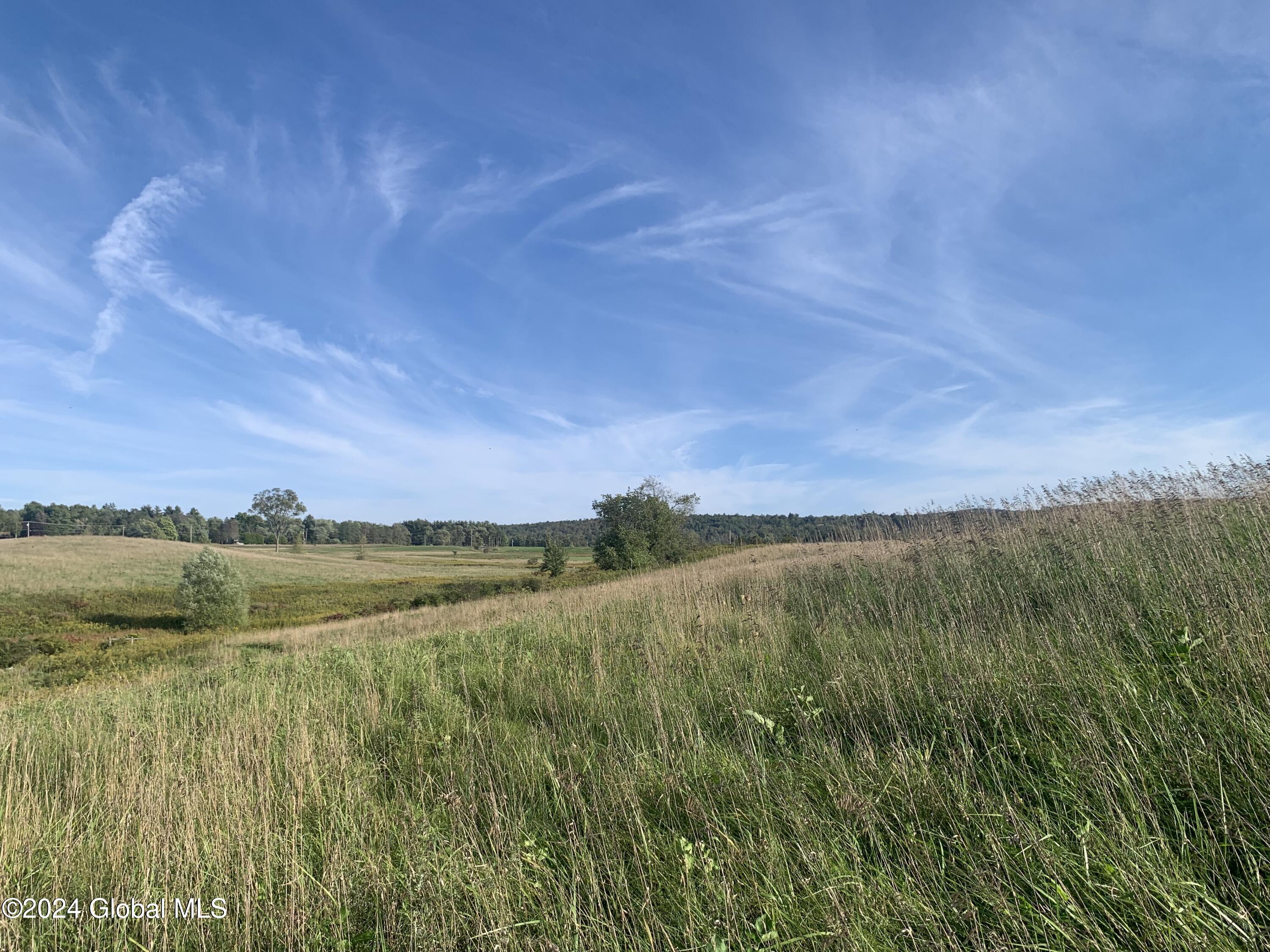 Lot 1 Western Turnpike, Esperance, New York image 7