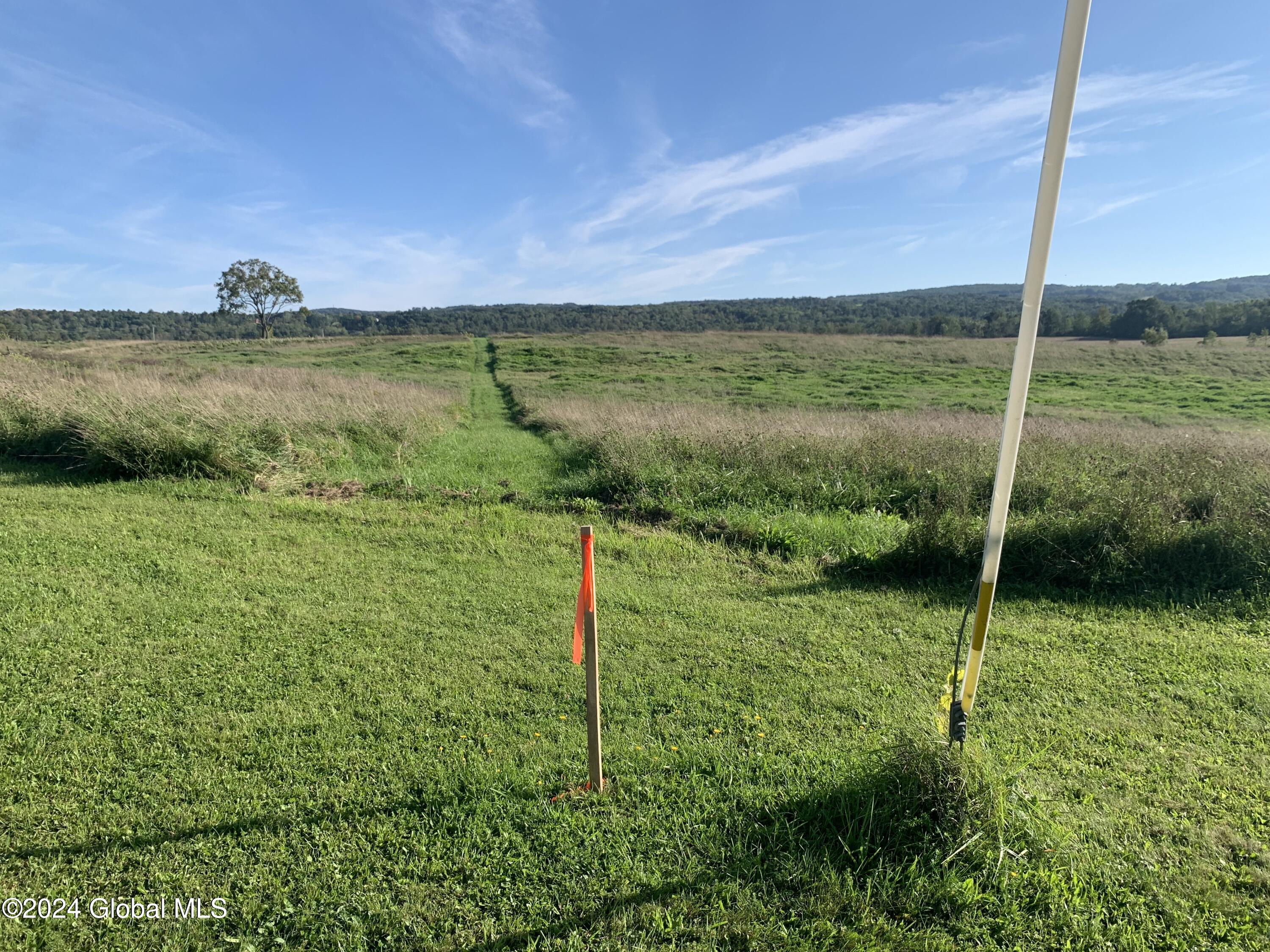 Lot 1 Western Turnpike, Esperance, New York image 9