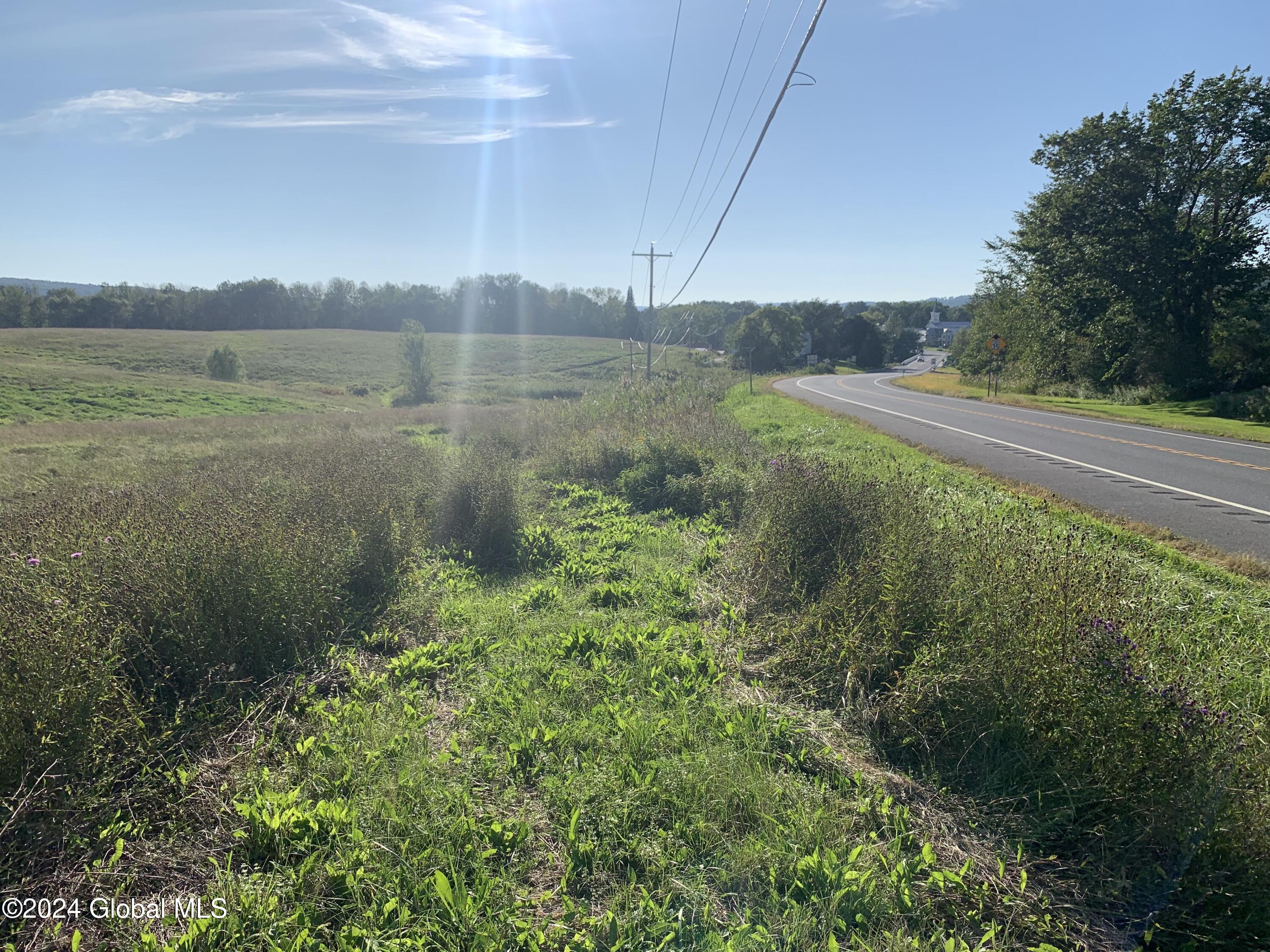 Lot 1 Western Turnpike, Esperance, New York image 8