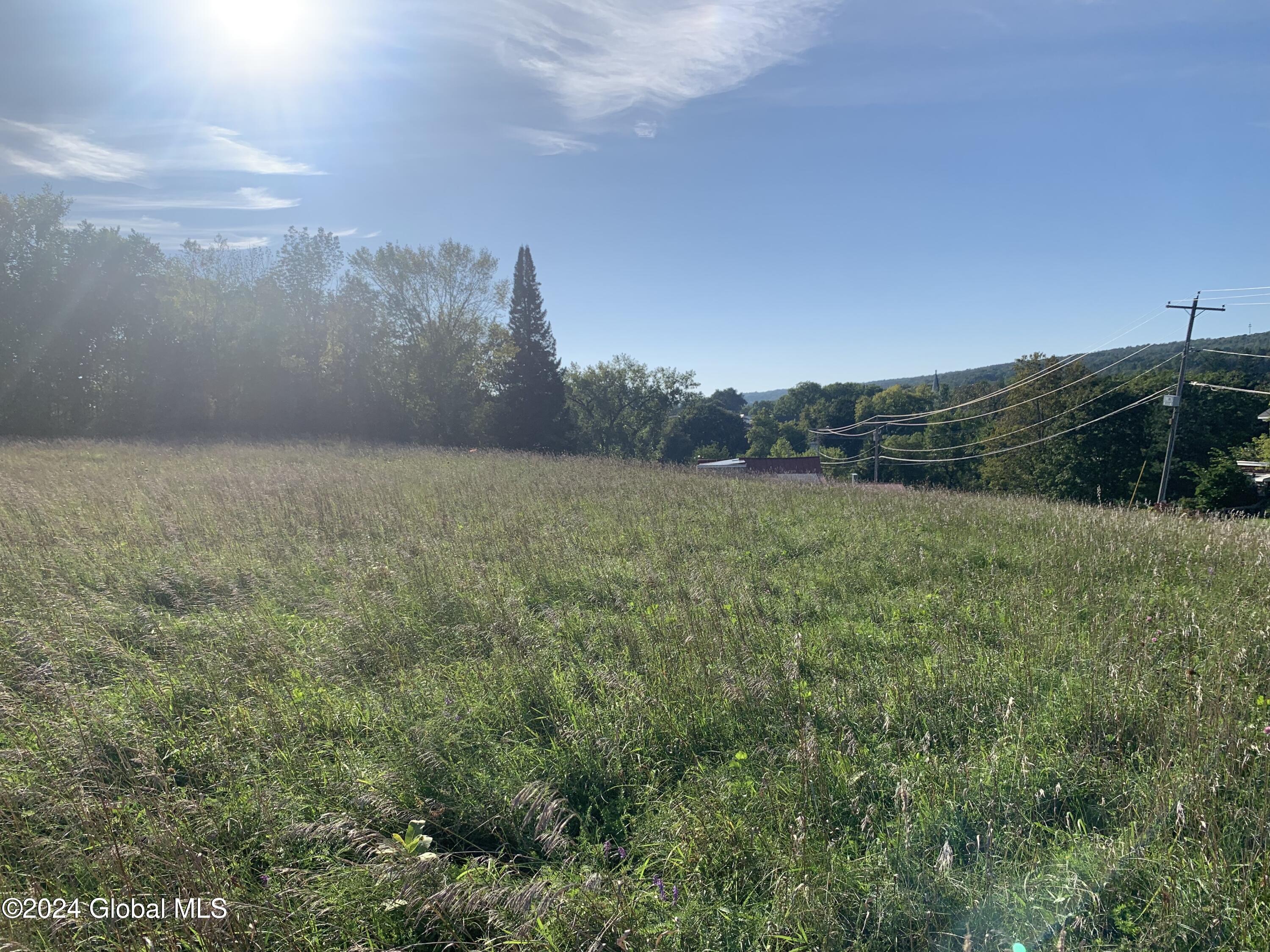 Lot 1 Western Turnpike, Esperance, New York image 16