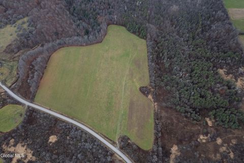 Vacant Land For Sale - L27 Travis Road<br/> Herkimer County, Van Hornesville, NY 13361