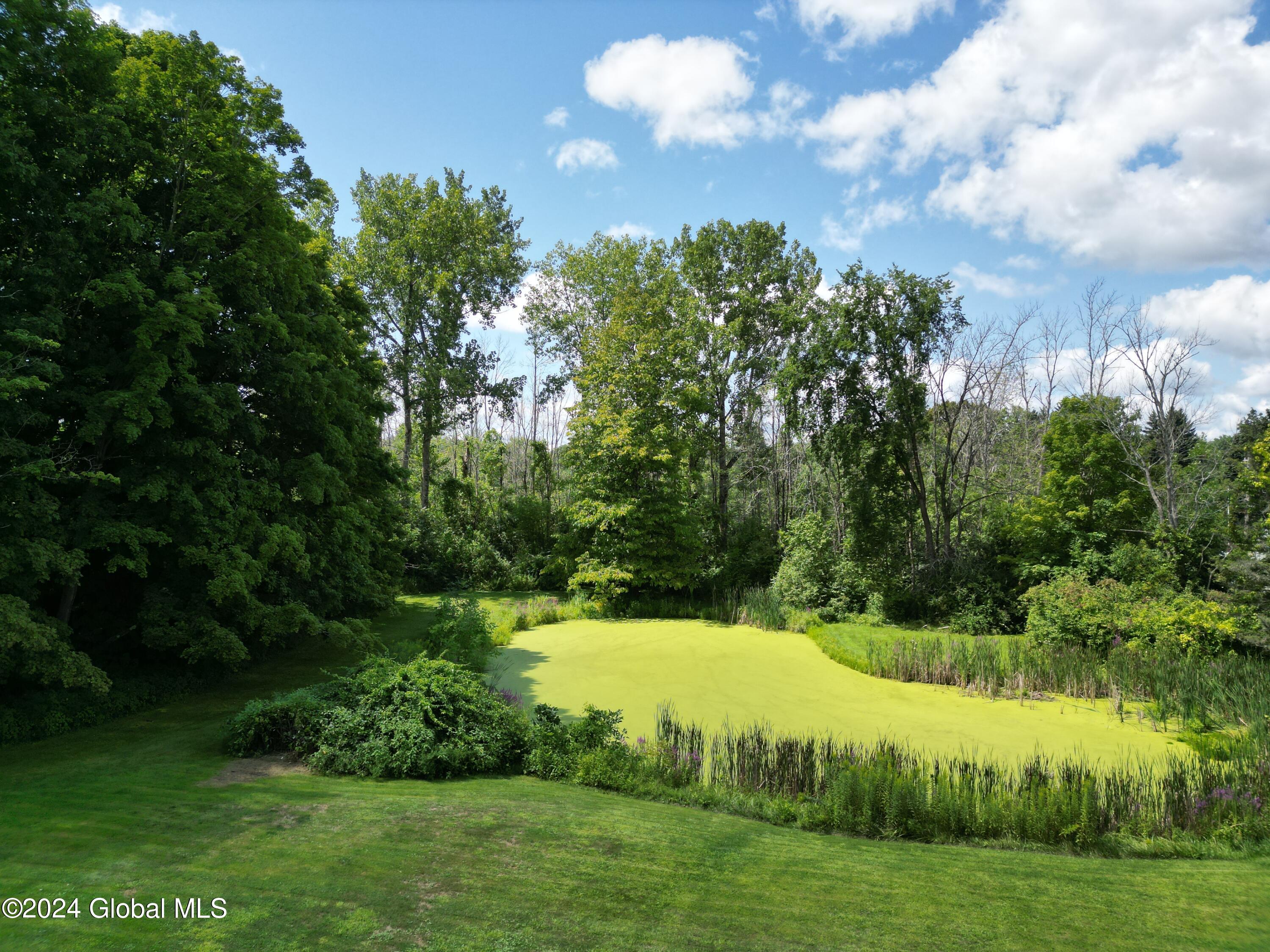 89 Middleline Road, Ballston Spa, New York image 37