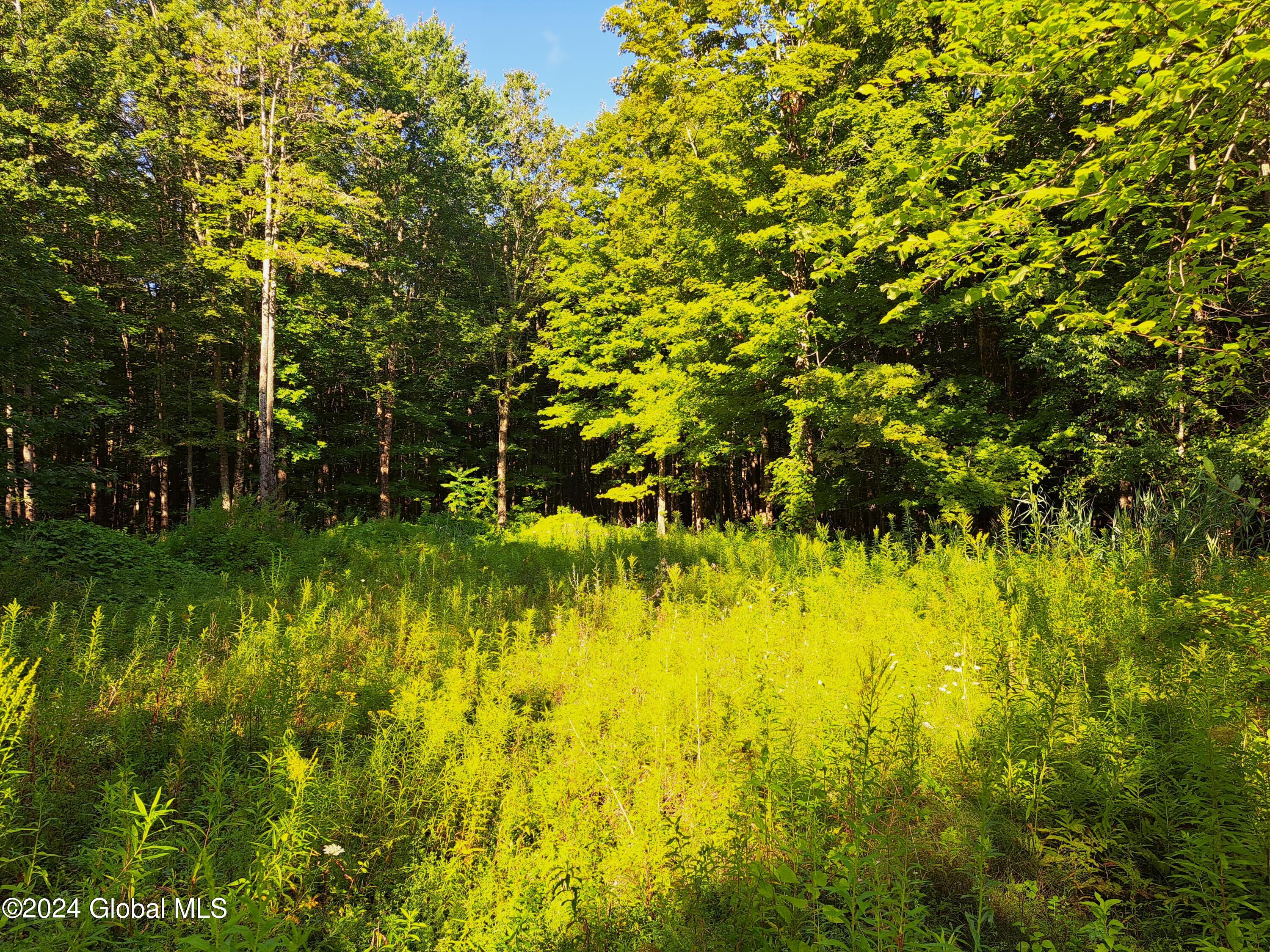 L72.141 Consaul Road, Galway, New York image 9