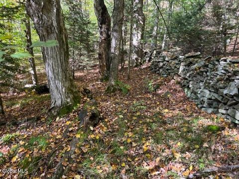 Vacant Land For Sale - 123 Wildwood Lane<br/> Middleburgh, NY 12122
