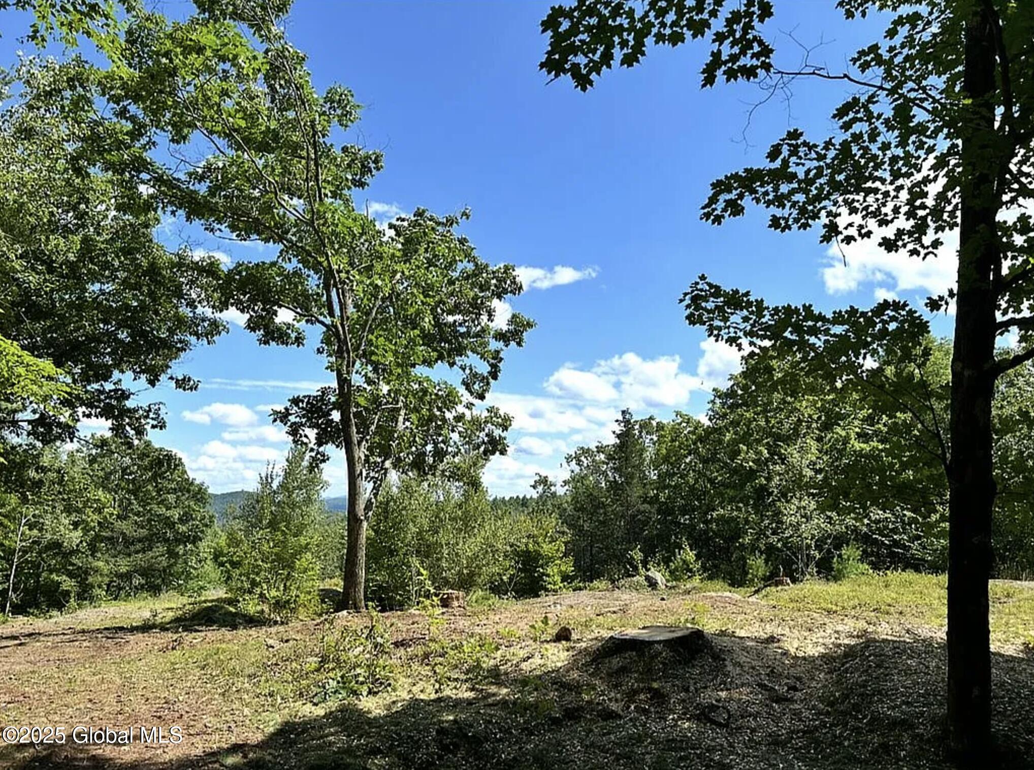 981 New Hague Road, Hague, New York image 19