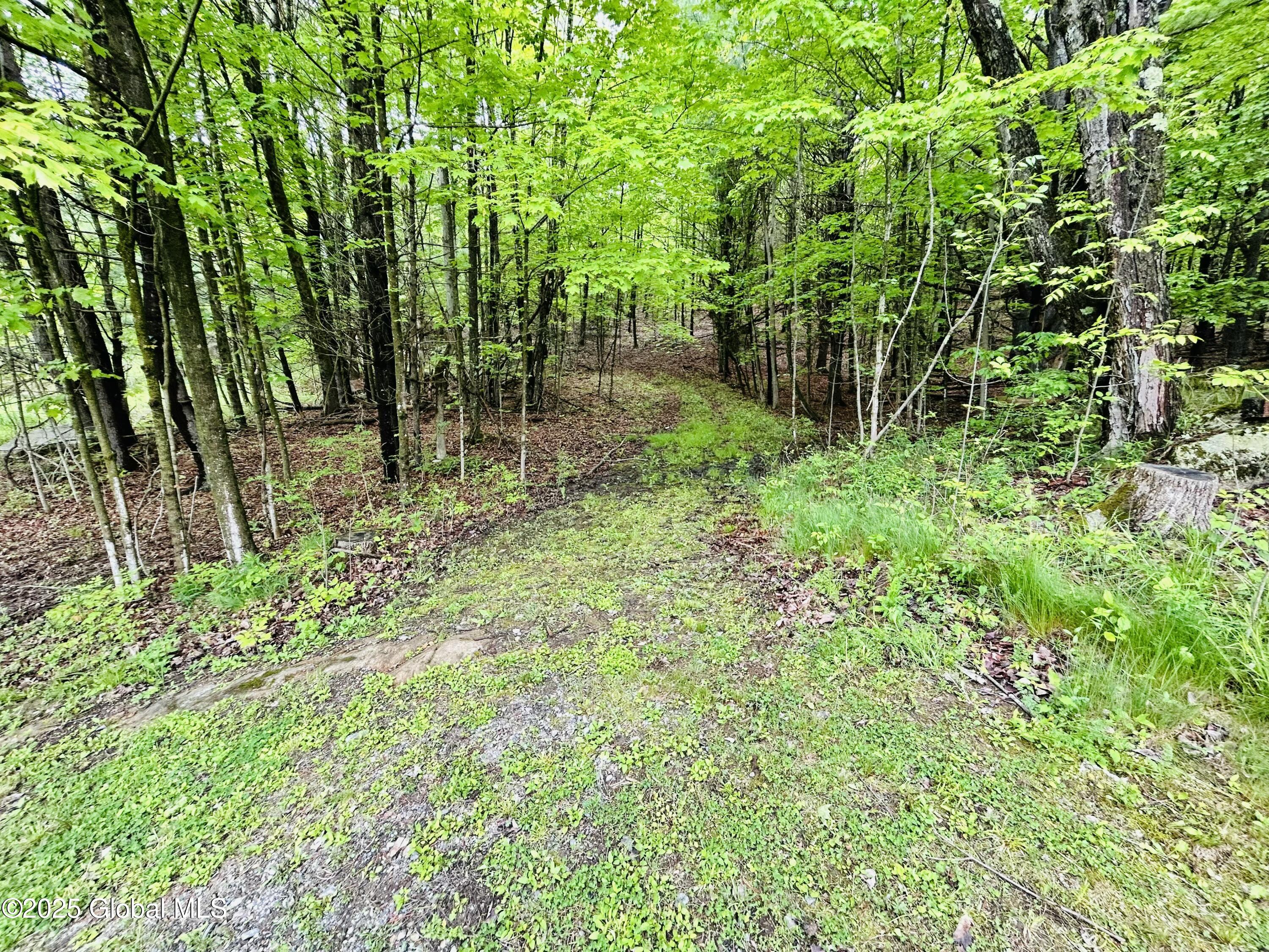 981 New Hague Road, Hague, New York image 21