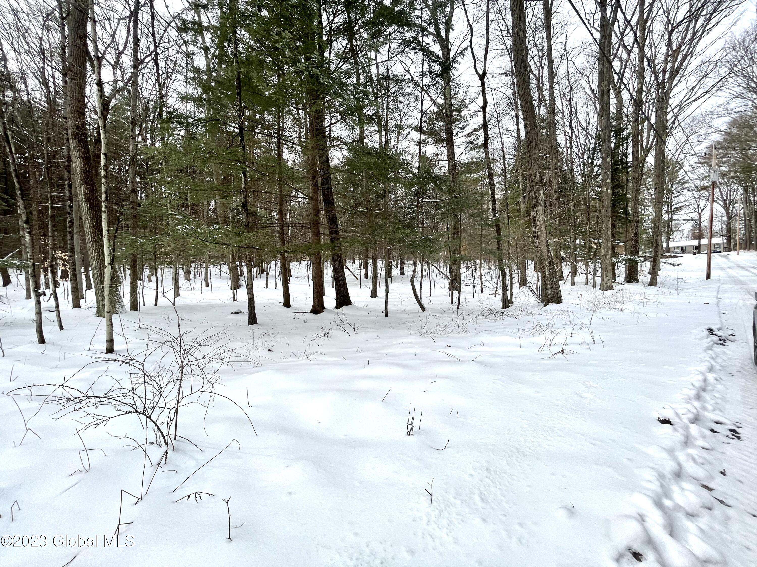 24 Lady Slipper Lane, Porter Corners, New York image 3