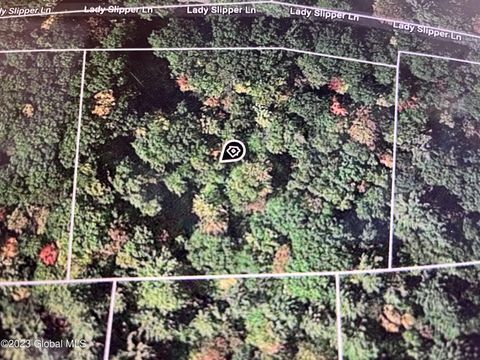 Vacant Land For Sale - 24 Lady Slipper Lane<br/> Porter Corners, NY 12859