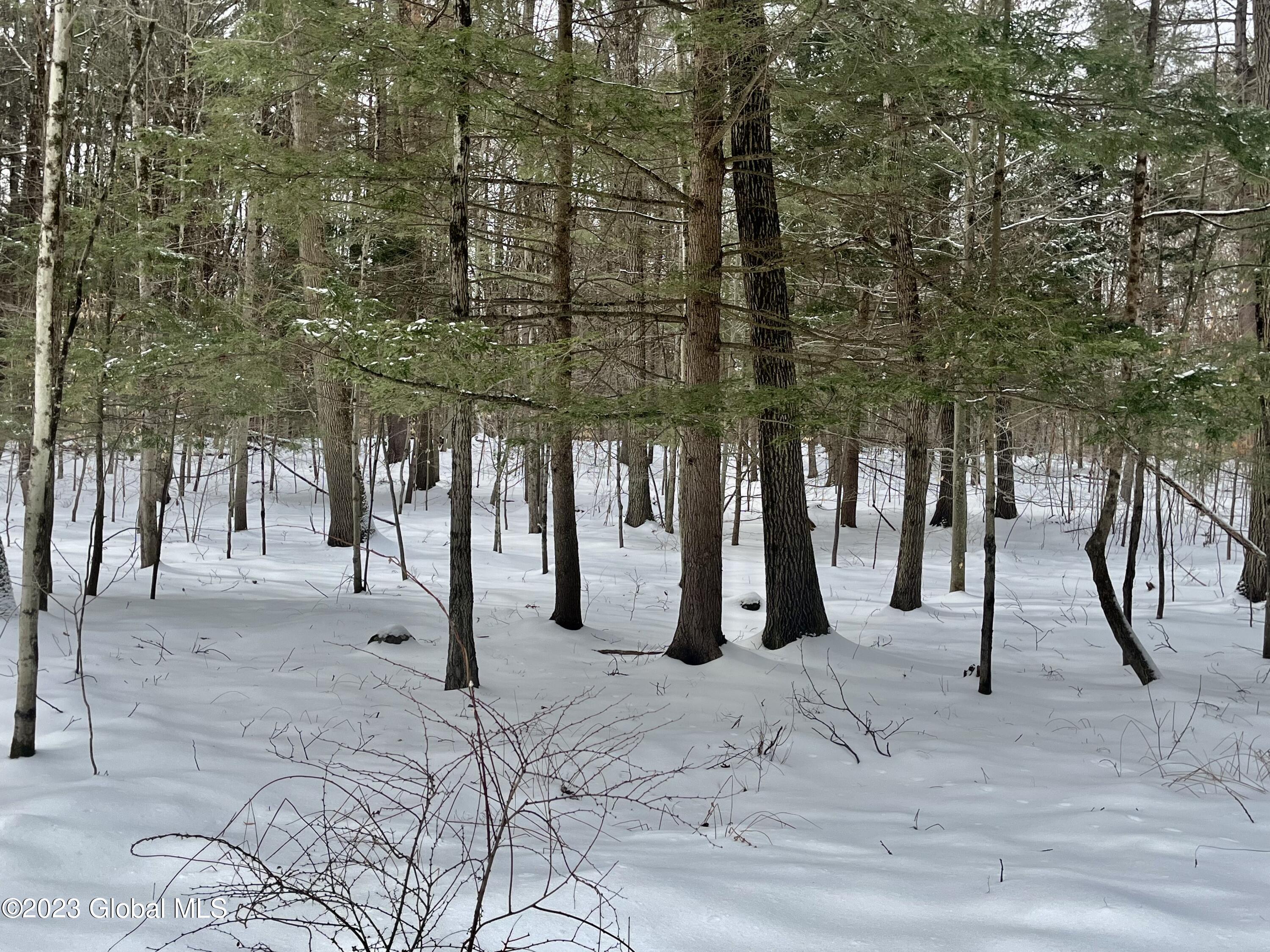 24 Lady Slipper Lane, Porter Corners, New York image 4