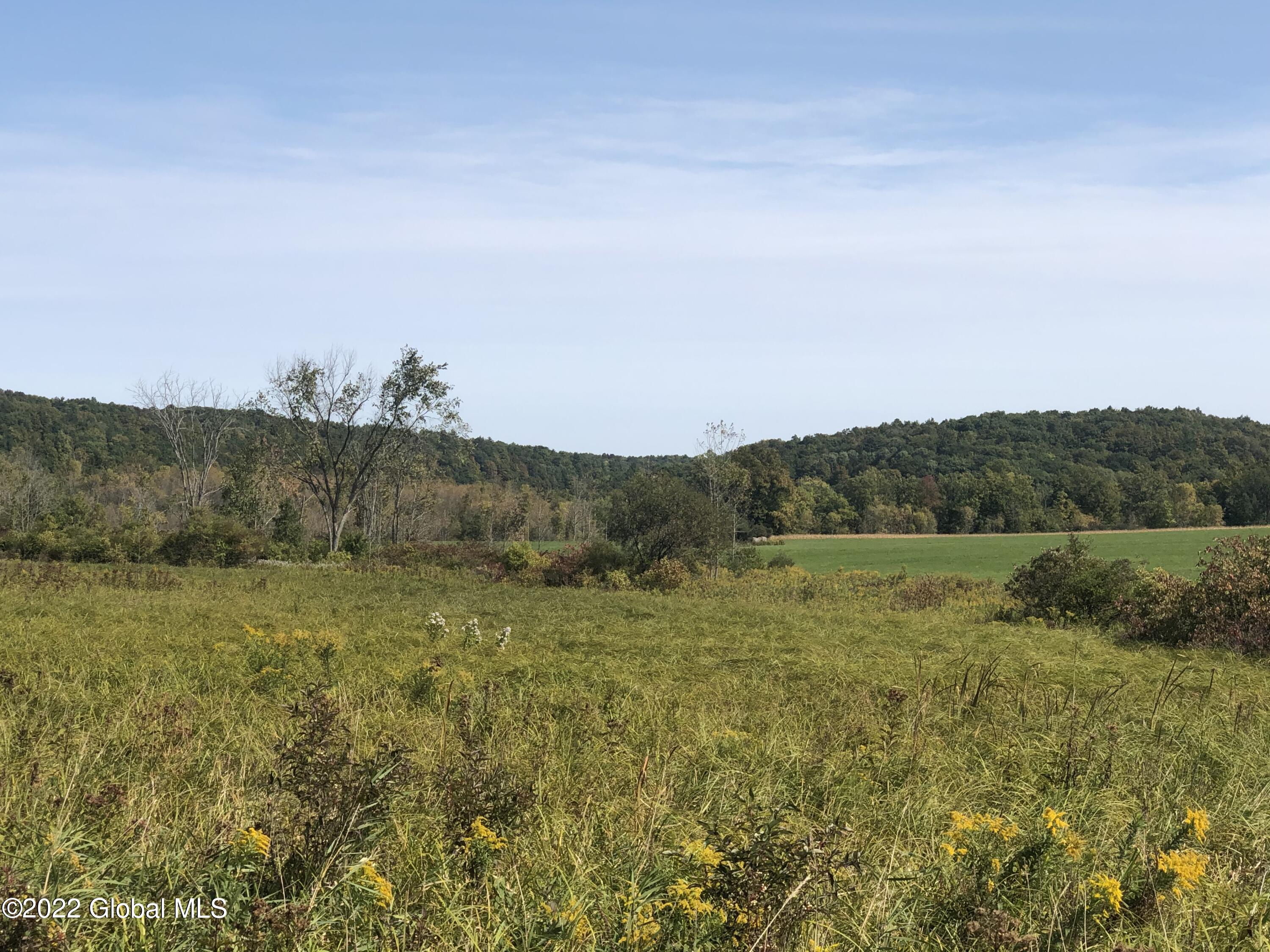 L1 Rathbunville Lane, Fort Ann, New York image 4