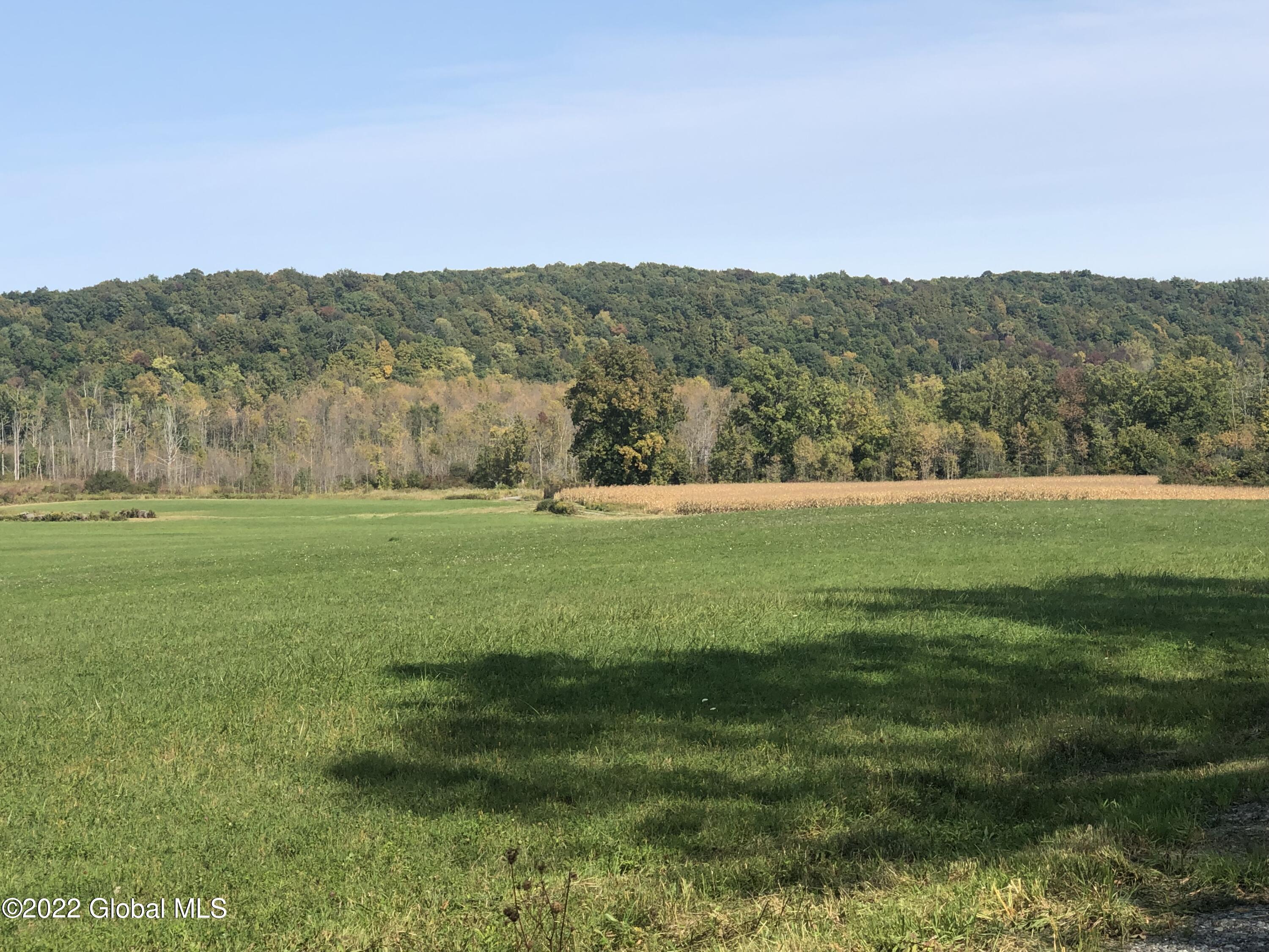 L1 Rathbunville Lane, Fort Ann, New York image 5