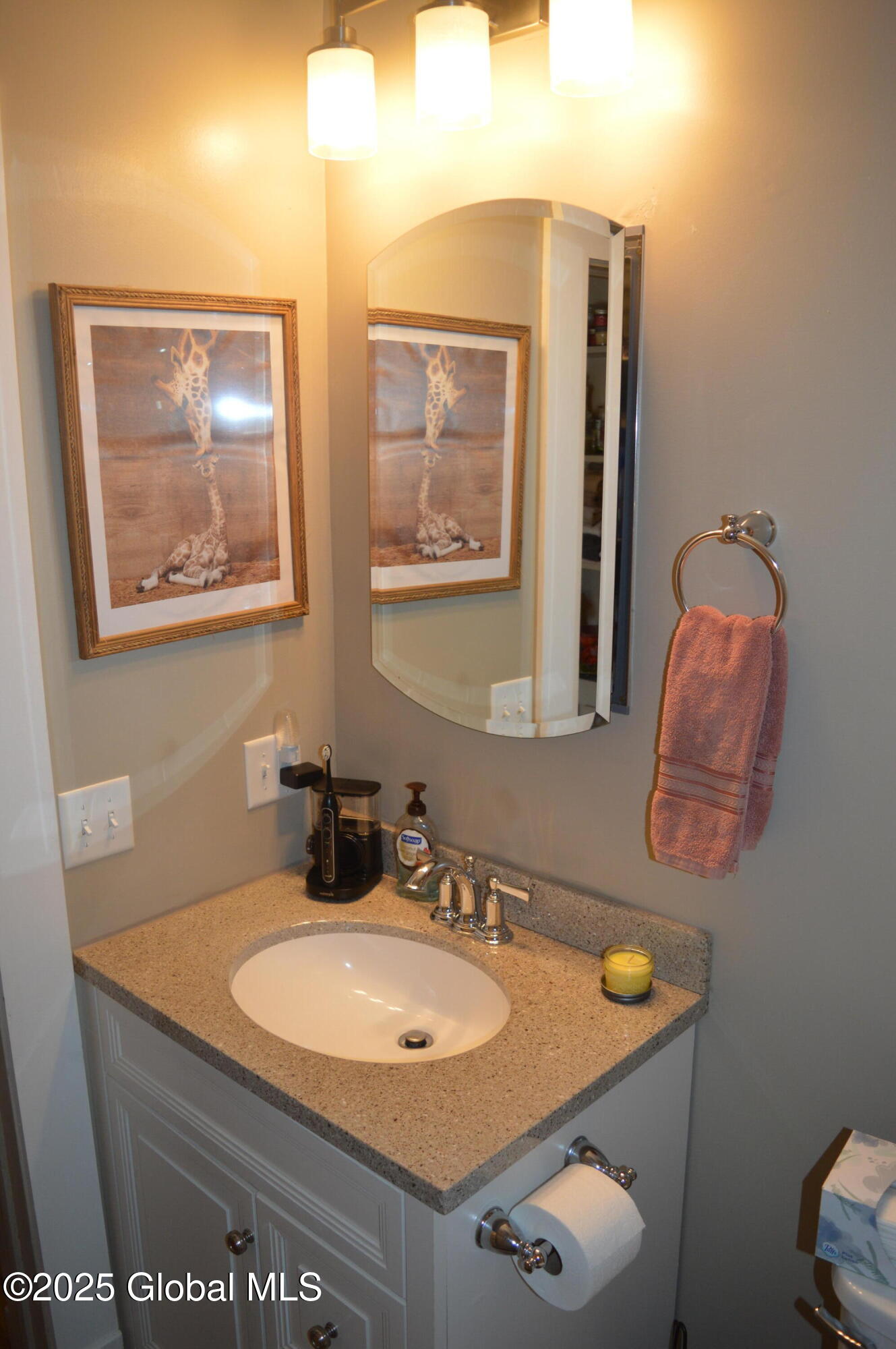 323 Kenwood Avenue, Delmar, New York image 20