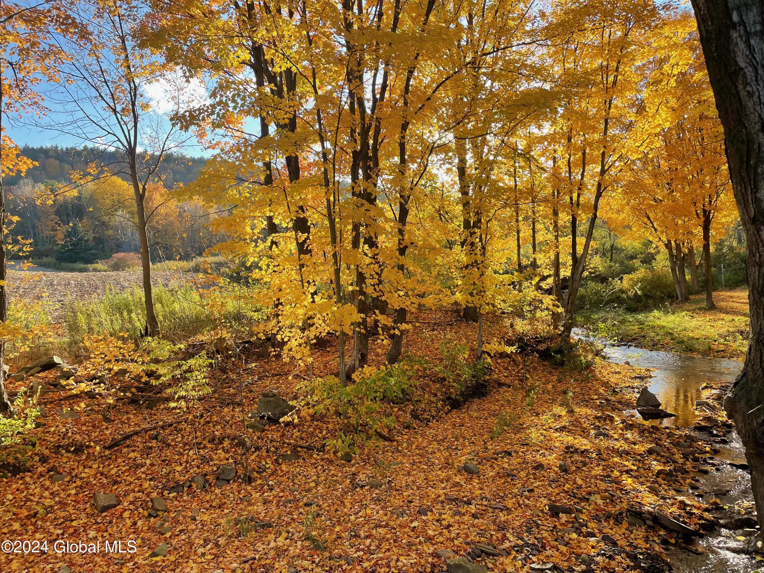 70 School View Road, Grand Gorge, New York image 8