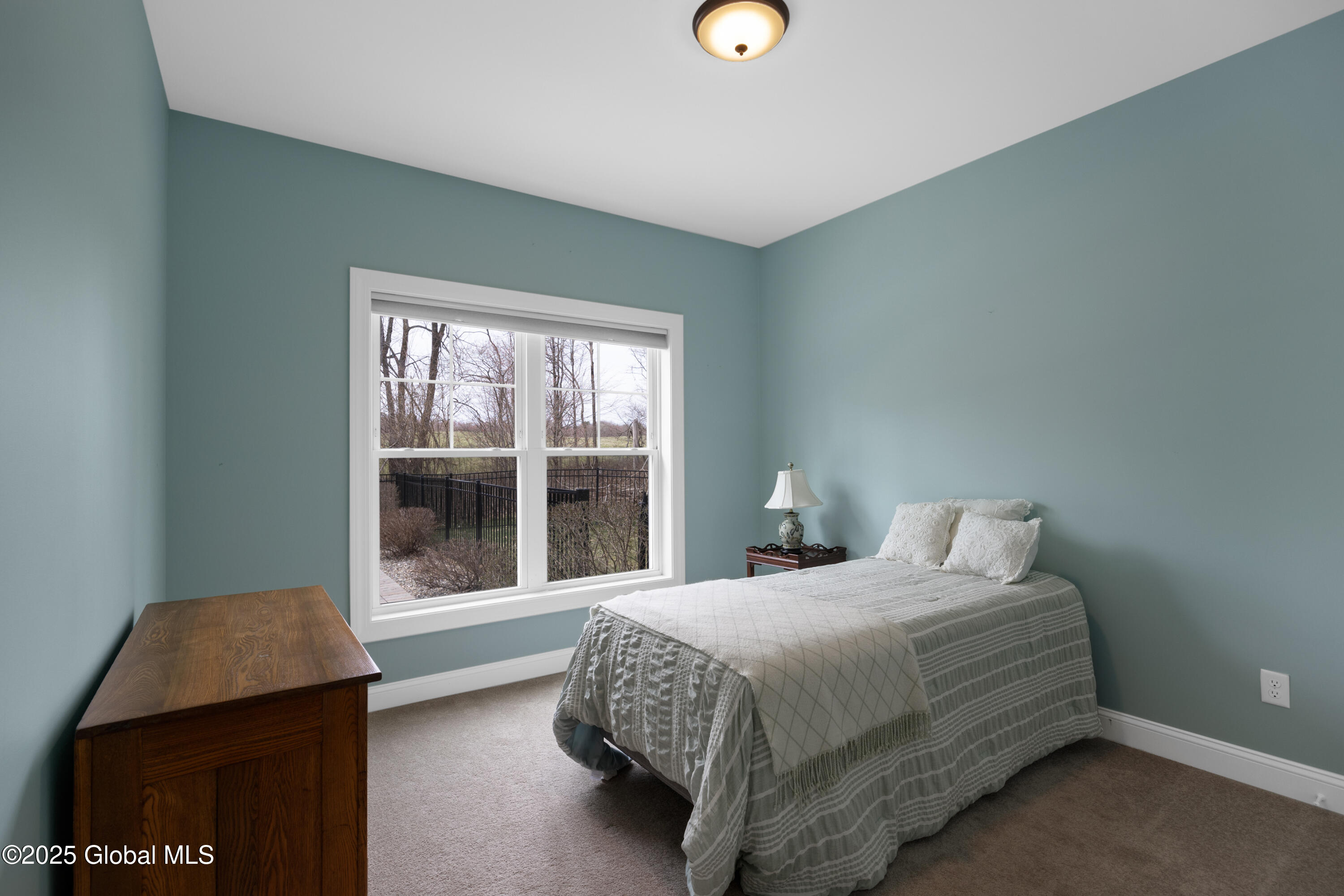 110 Schuyler Hills Drive, Saratoga Springs, New York image 29