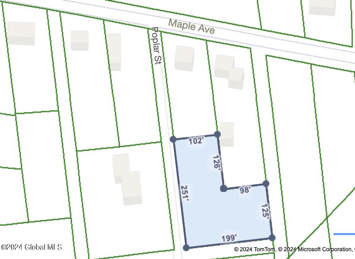 L19.00 Poplar, Amsterdam, New York image 1