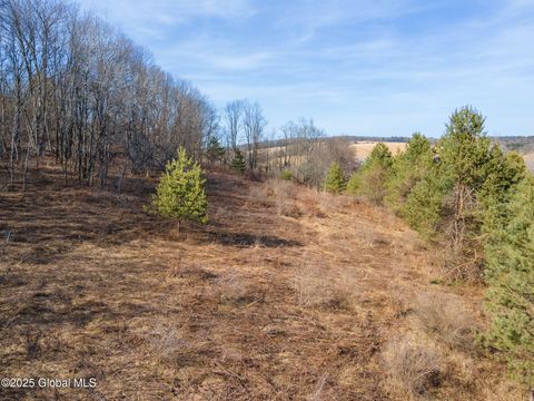 Photo of L20.2 Indian Brook Road, Greene, NY 13778 (MLS # 202528034)