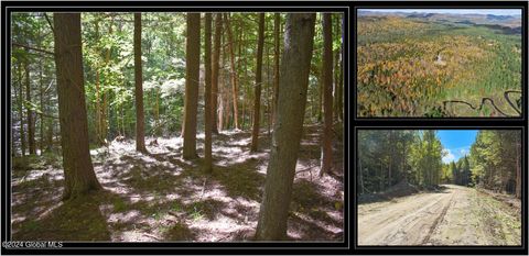 Vacant Land For Sale - 106 Carriage Knoll Road<br/> Chestertown, NY 12817