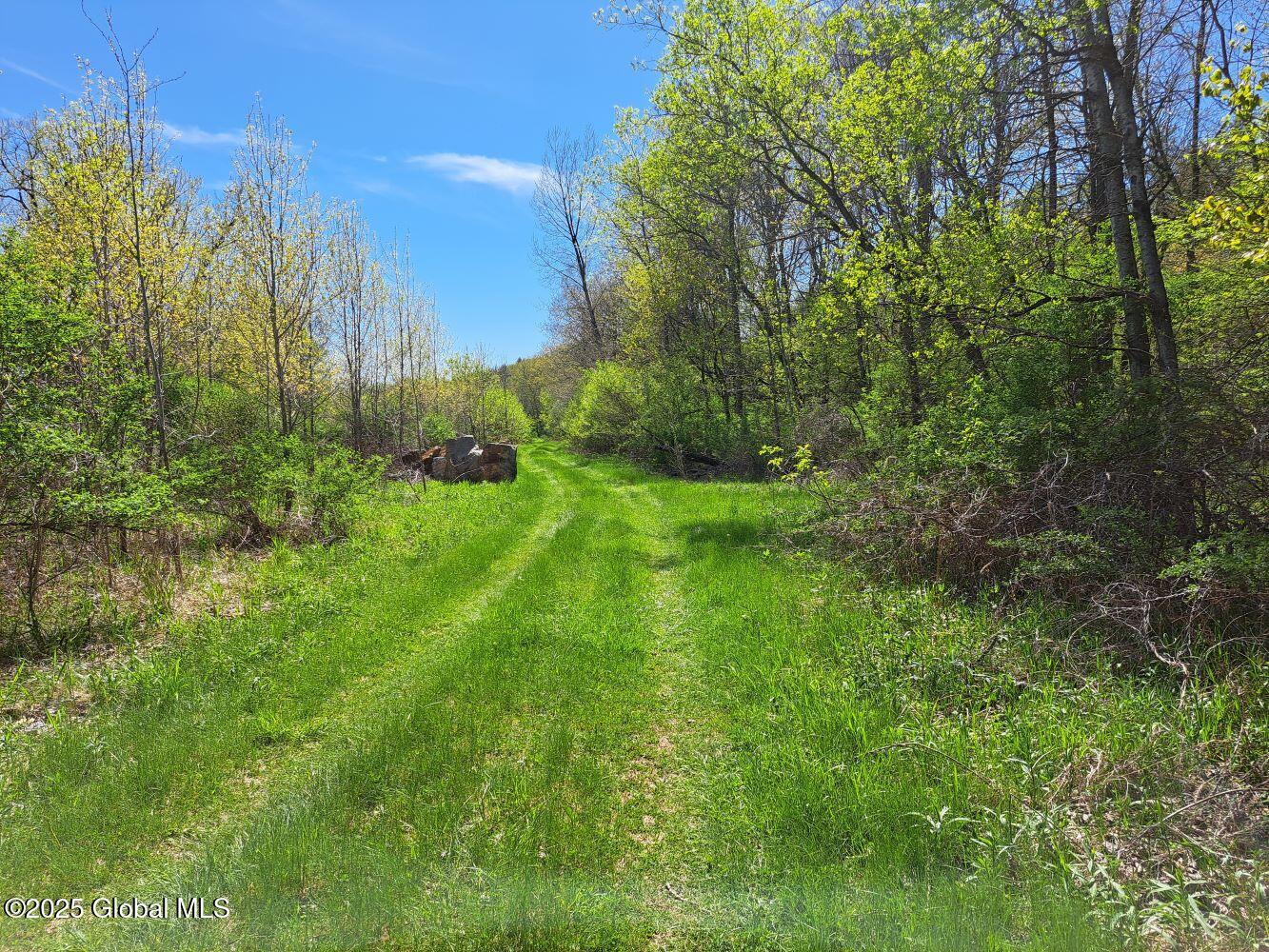 L18 State Route 313, Cambridge, New York image 9