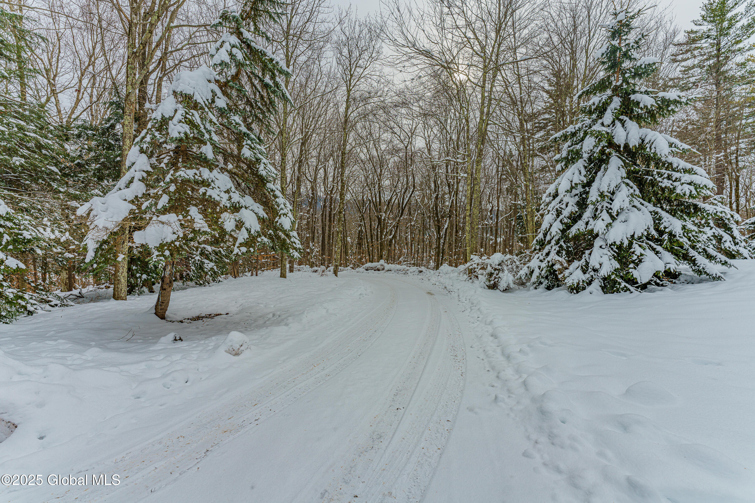 73 Fern Ridge Road, Tannersville, New York image 8