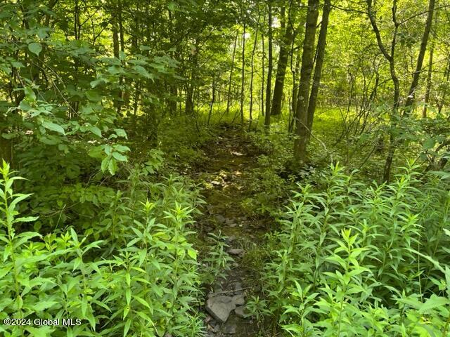 L16.111 Donlan Heights Road, Middleburgh, New York image 13