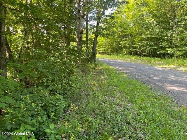 L16.111 Donlan Heights Road, Middleburgh, New York image 17