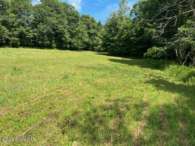 L16.111 Donlan Heights Road, Middleburgh, New York image 5