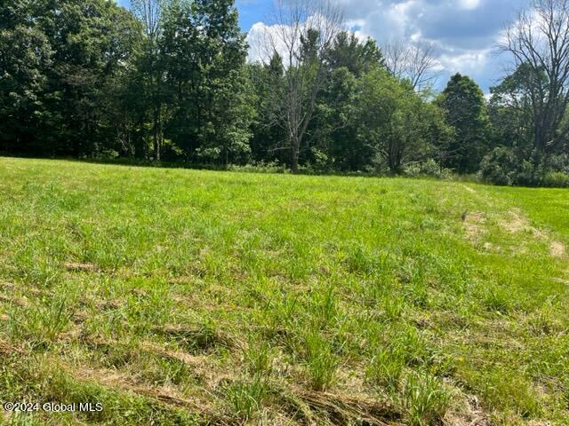 L16.111 Donlan Heights Road, Middleburgh, New York image 1