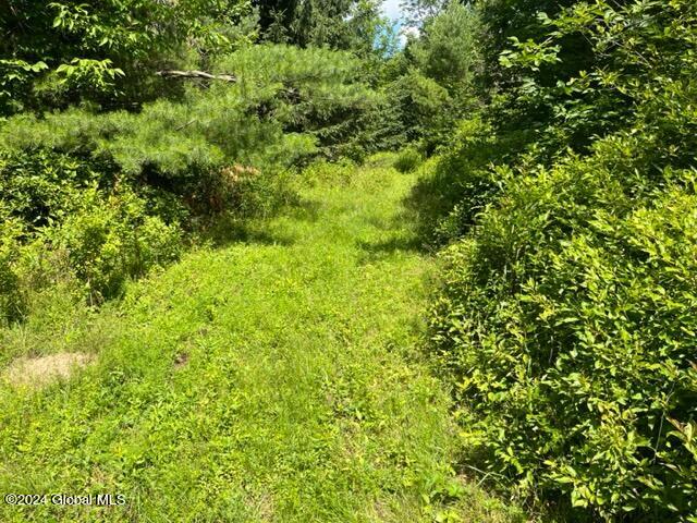 L16.111 Donlan Heights Road, Middleburgh, New York image 15