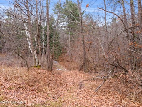 Vacant Land For Sale - L18.1 Engle Road<br/> Schoharie, NY 12157