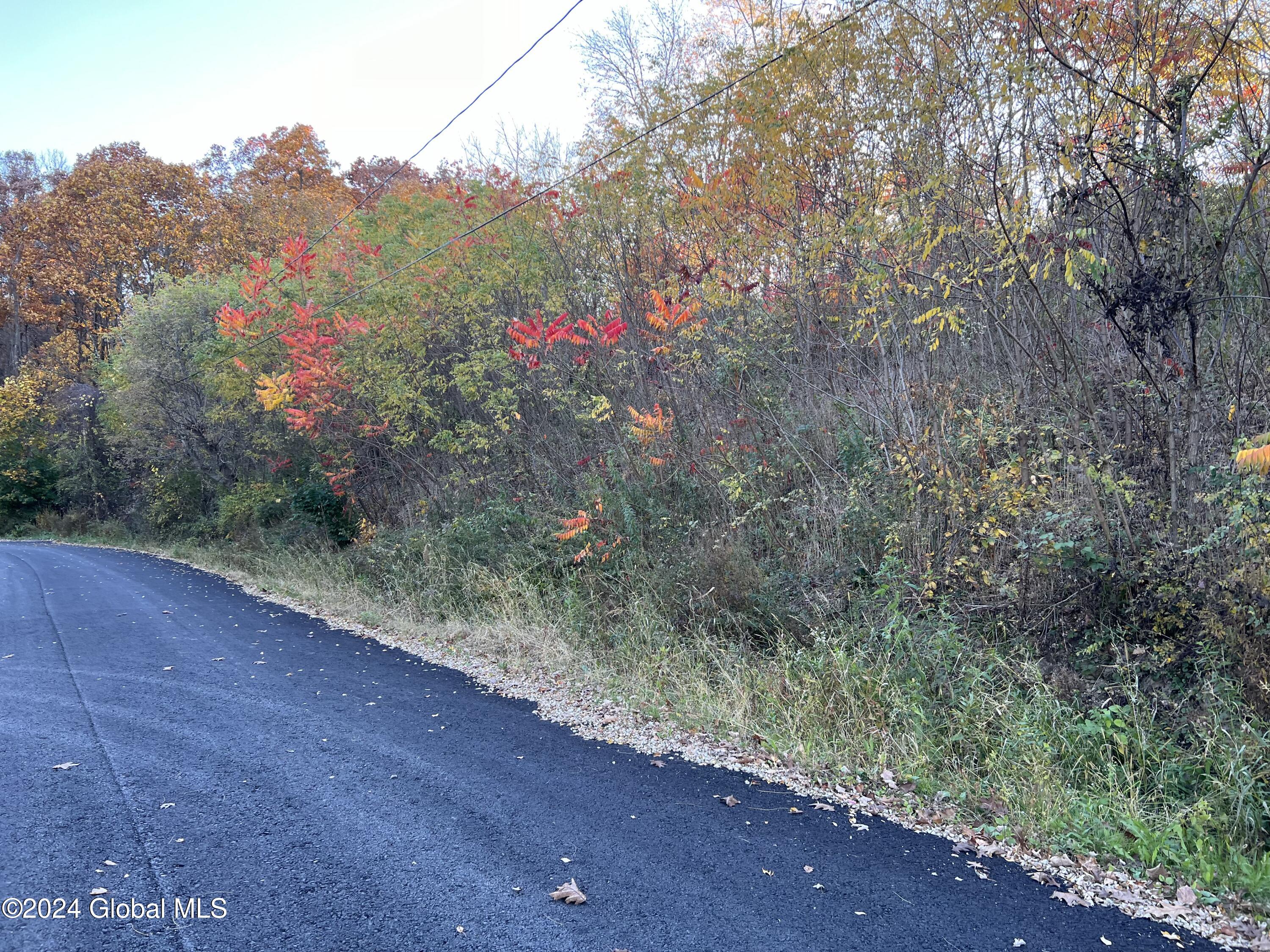 L4 Schuyler Heights Drive, Schuylerville, New York image 8