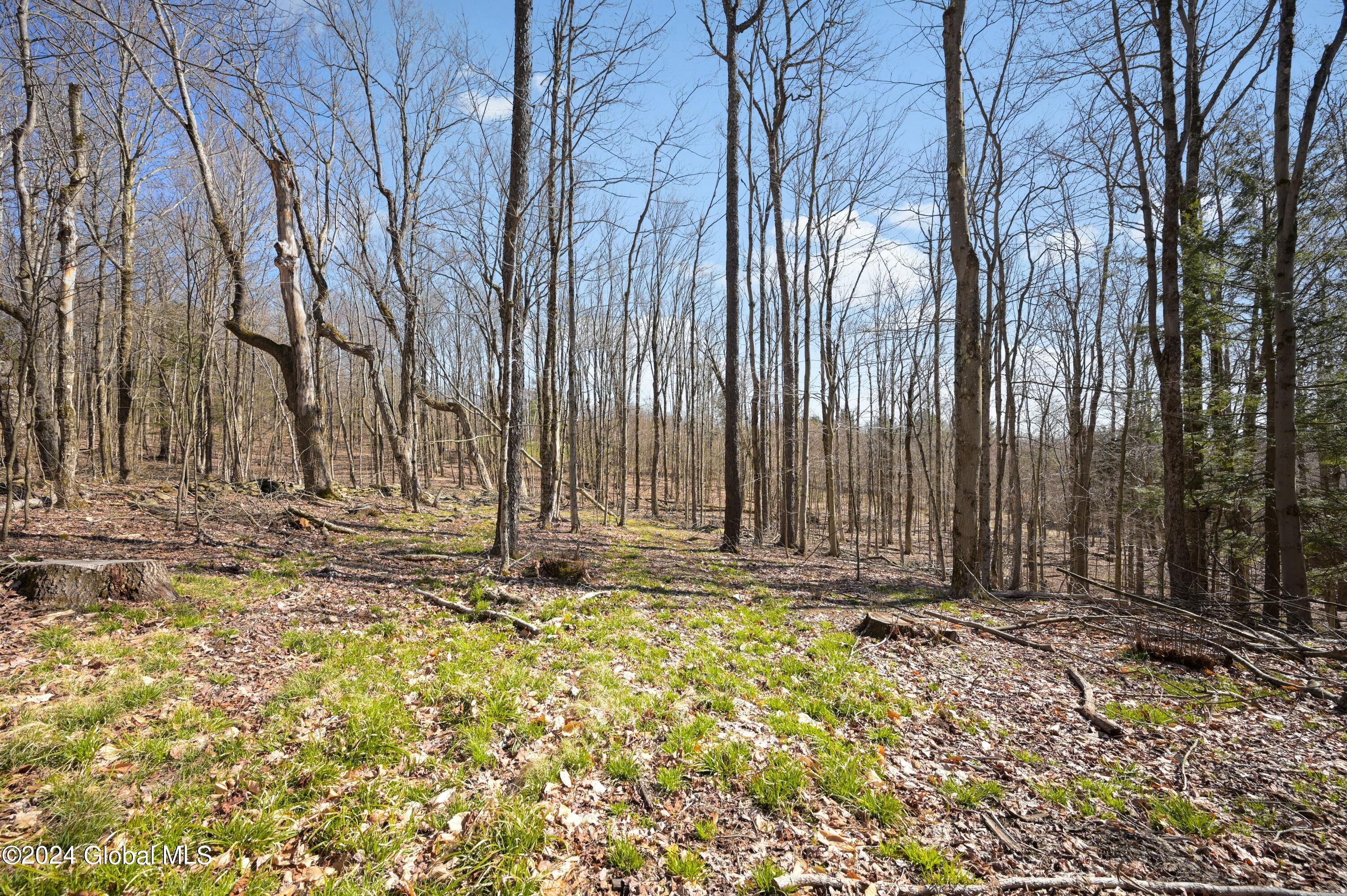L11.6B Rossman Valley Rd, Richmondville, New York image 12