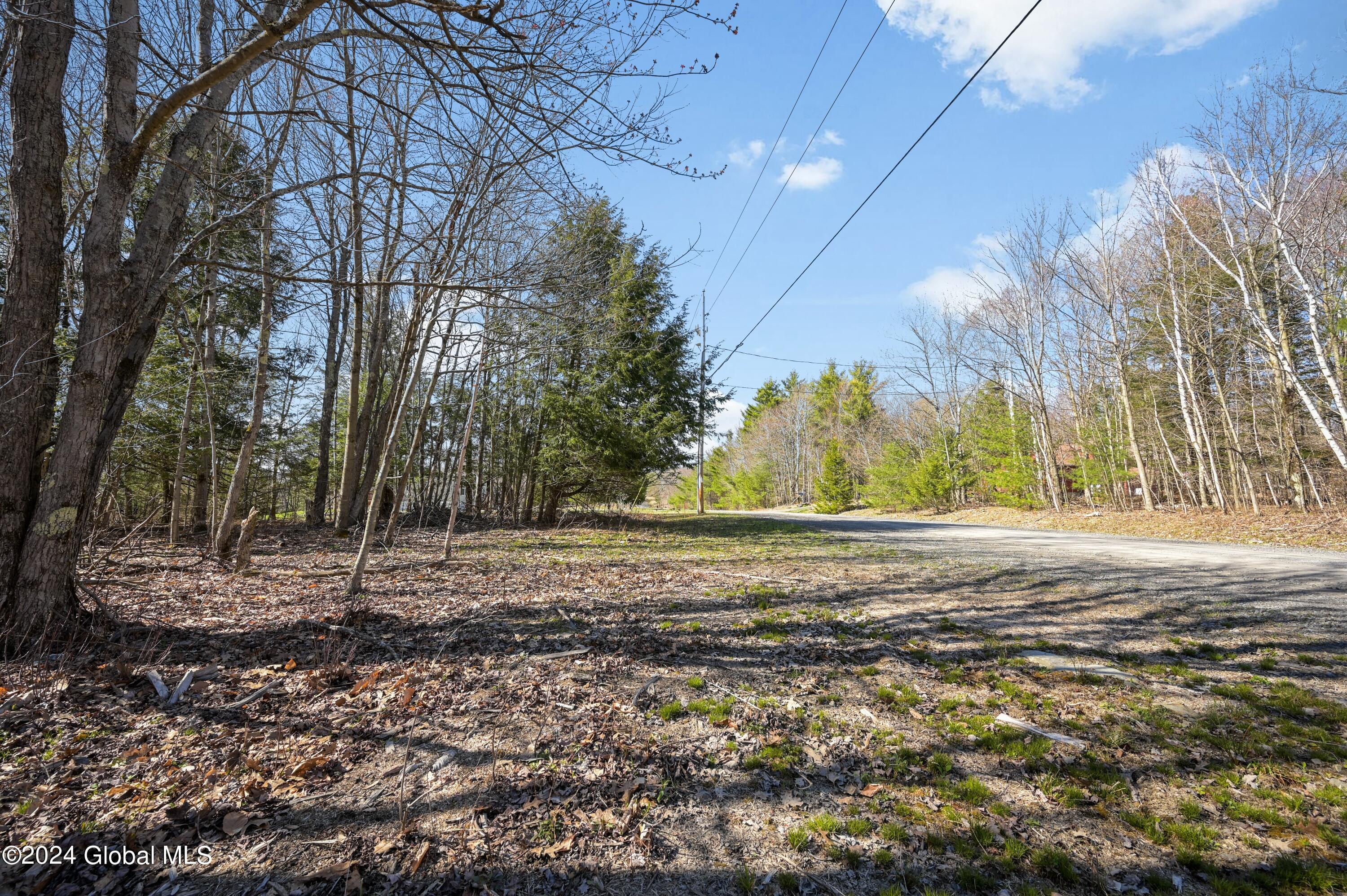 L11.6B Rossman Valley Rd, Richmondville, New York image 14