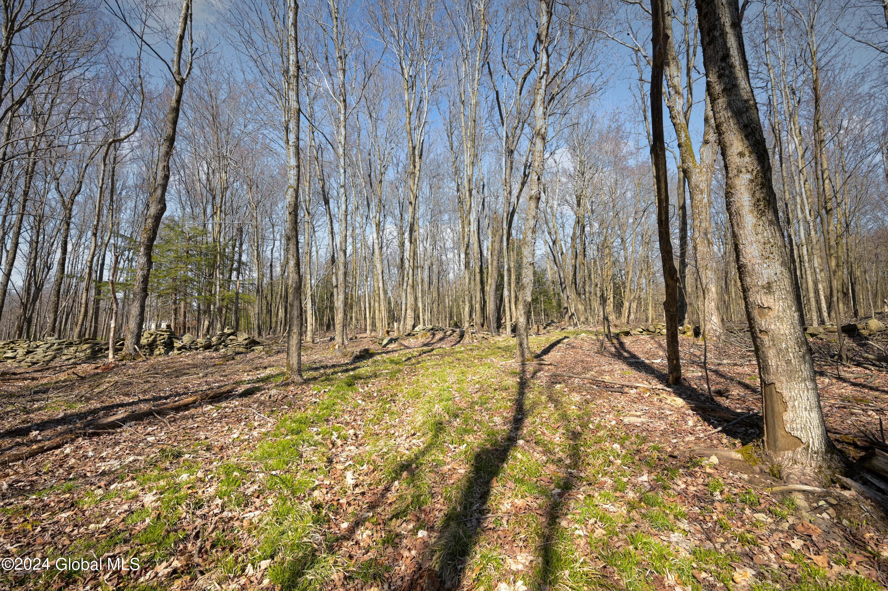 L11.6B Rossman Valley Rd, Richmondville, New York image 8