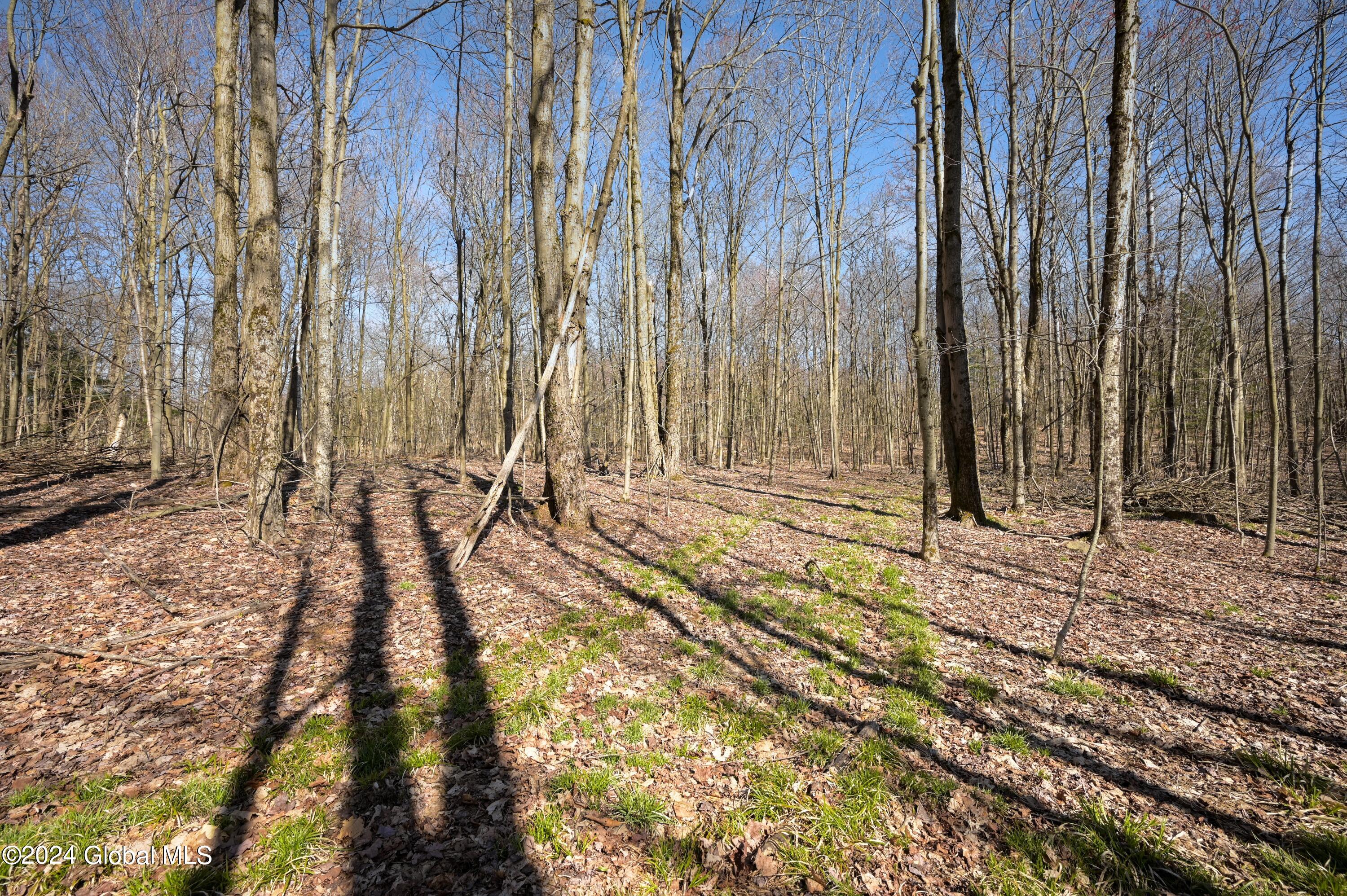 L11.6B Rossman Valley Rd, Richmondville, New York image 4