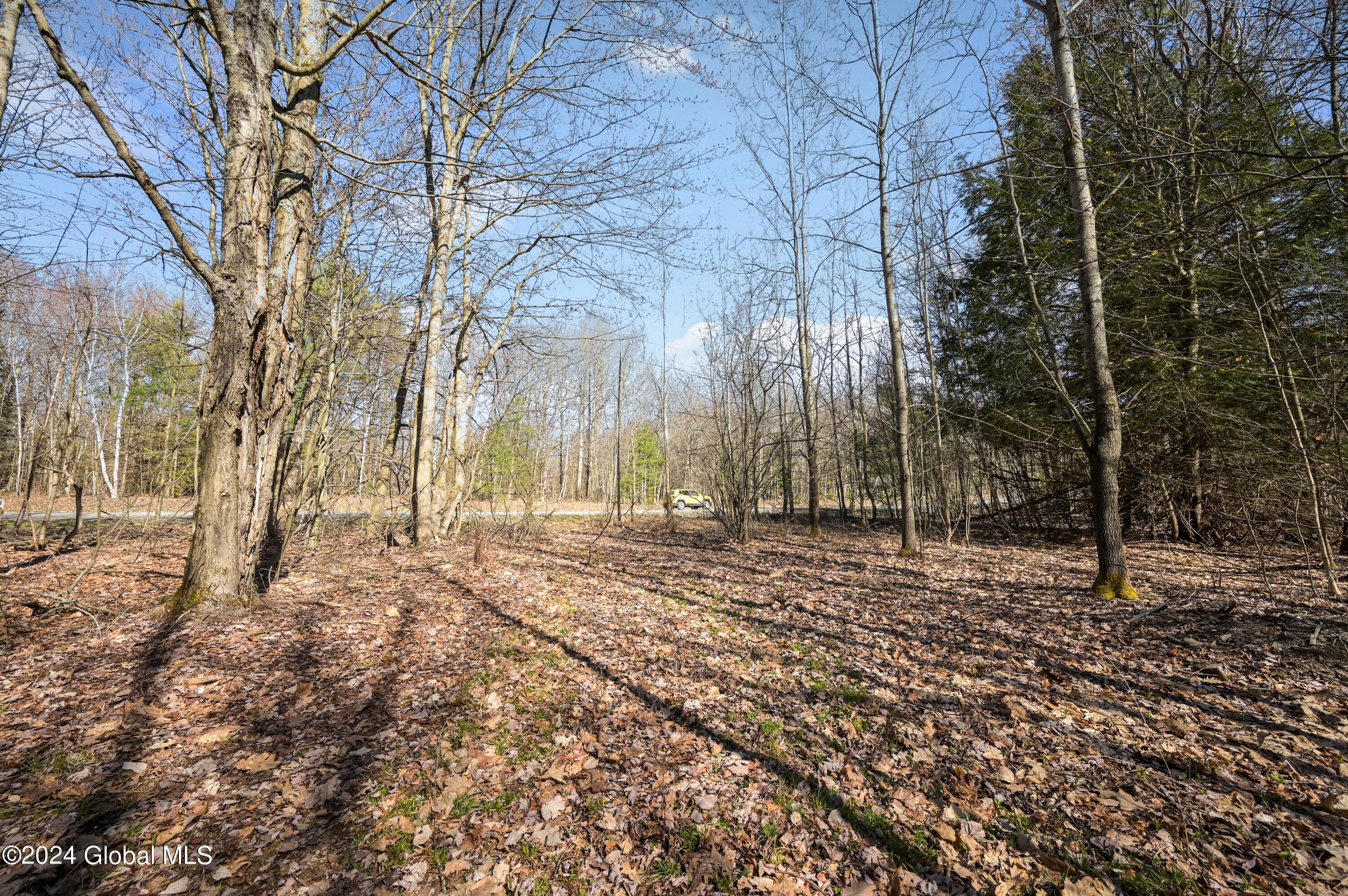 L11.6B Rossman Valley Rd, Richmondville, New York image 15