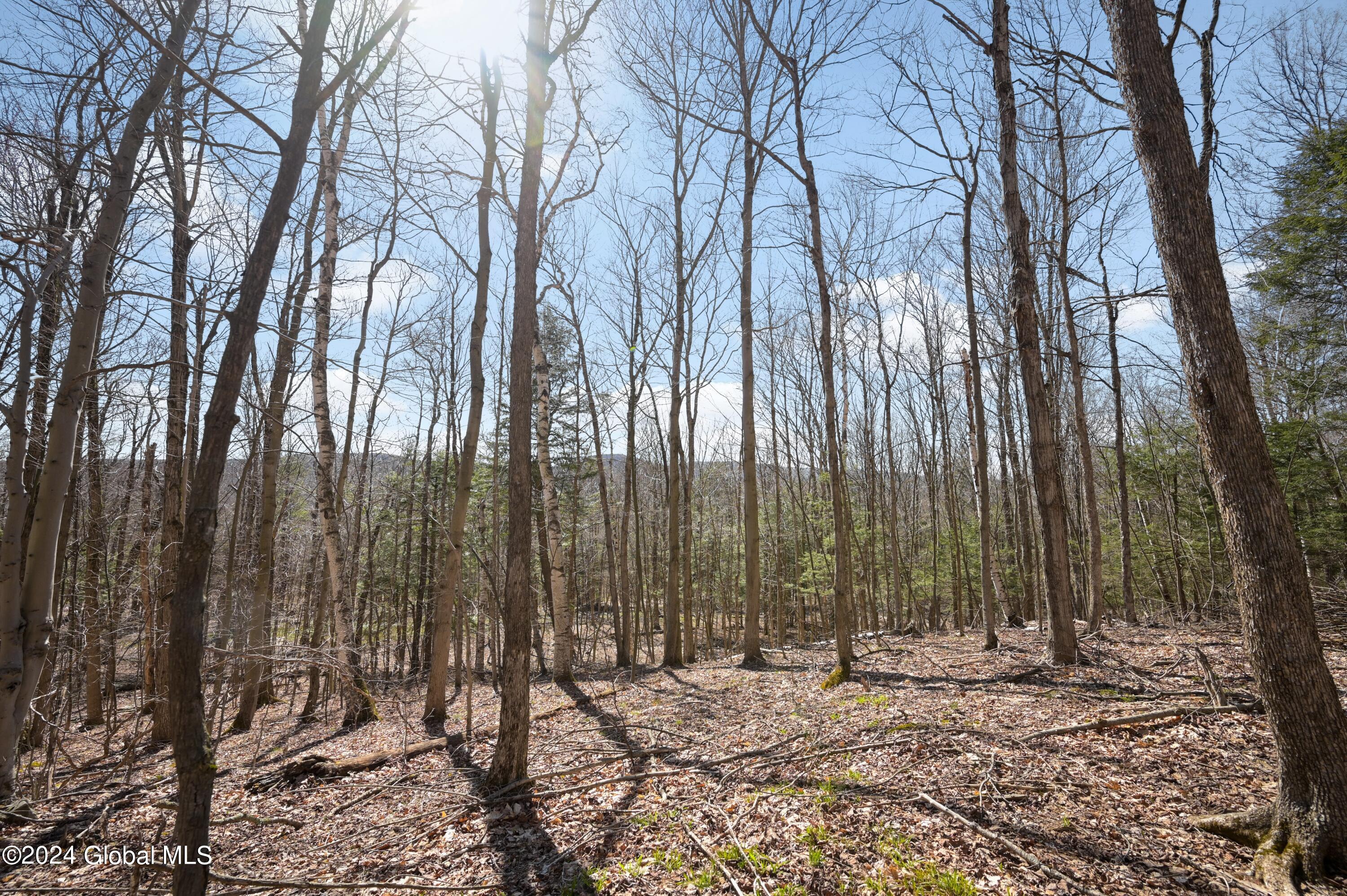 L11.6B Rossman Valley Rd, Richmondville, New York image 1