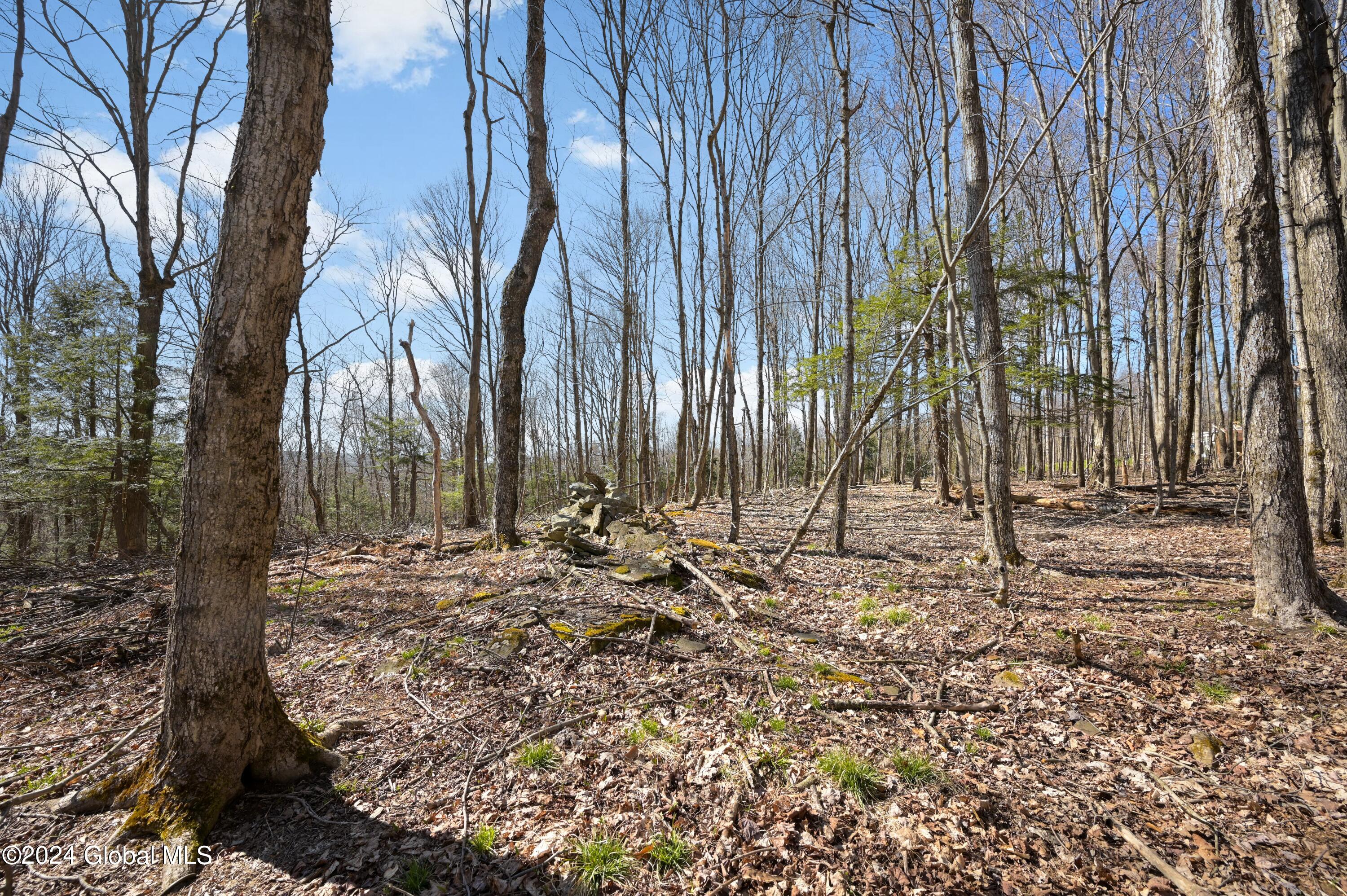 L11.6B Rossman Valley Rd, Richmondville, New York image 3