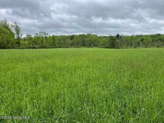 L1.12 Carlisle Road, Sprakers, New York image 3