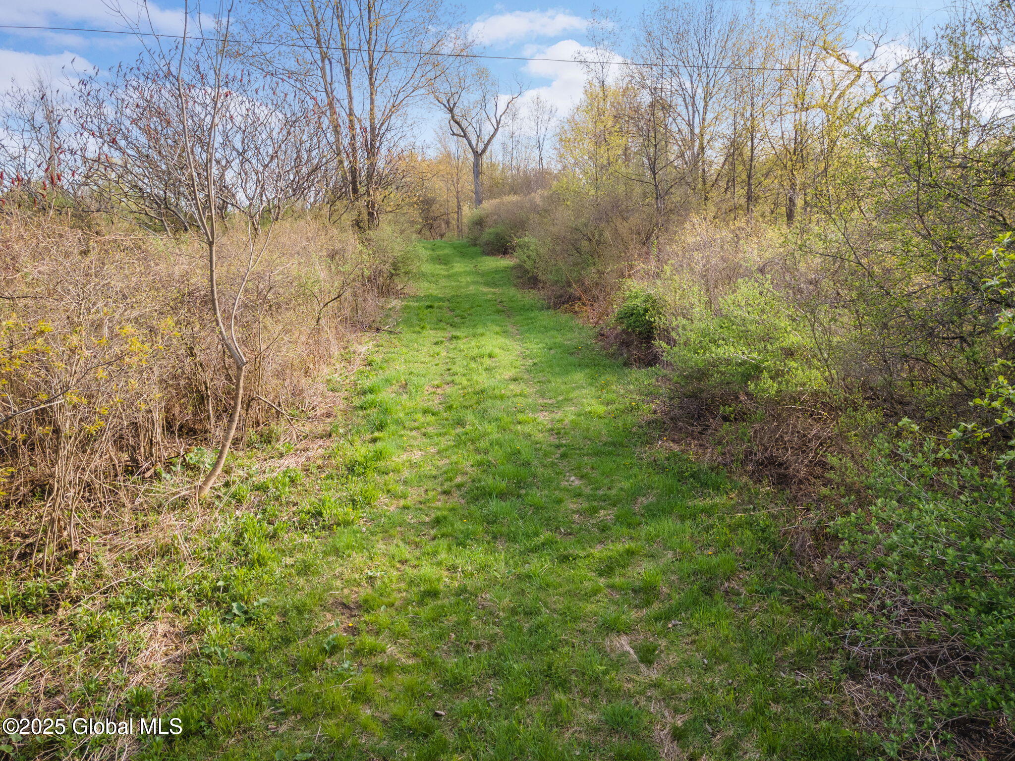 L1.12 Carlisle Road, Sprakers, New York image 13