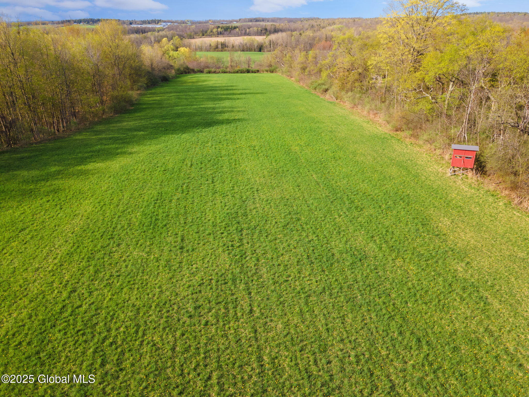 L1.12 Carlisle Road, Sprakers, New York image 16