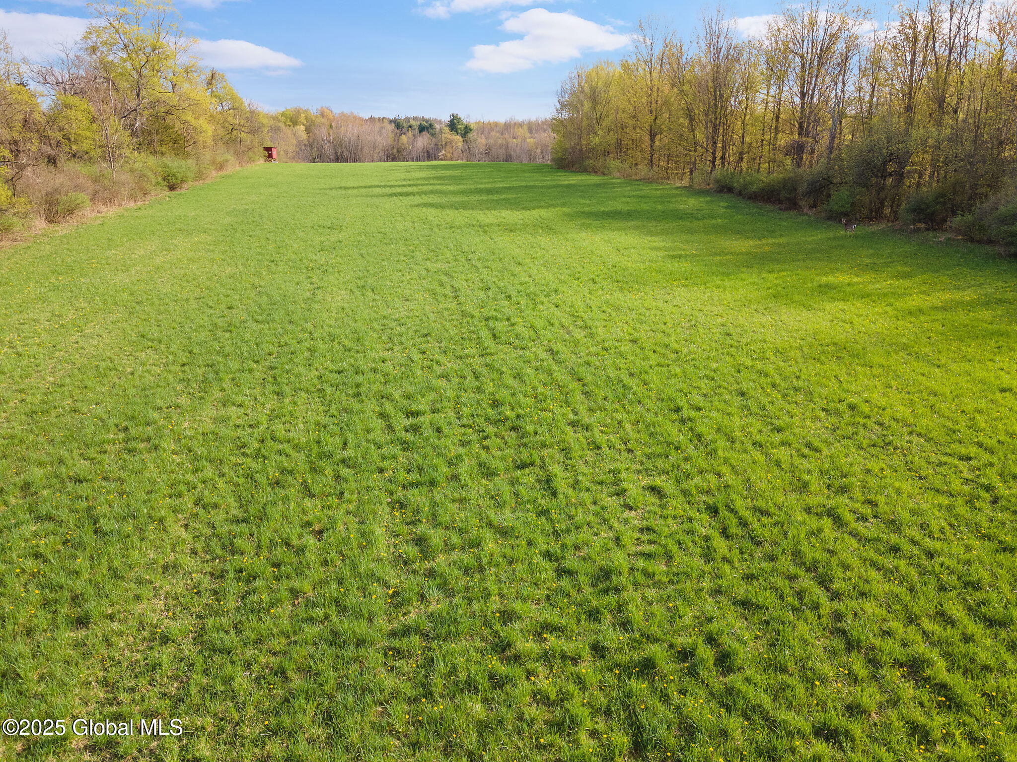 L1.12 Carlisle Road, Sprakers, New York image 14